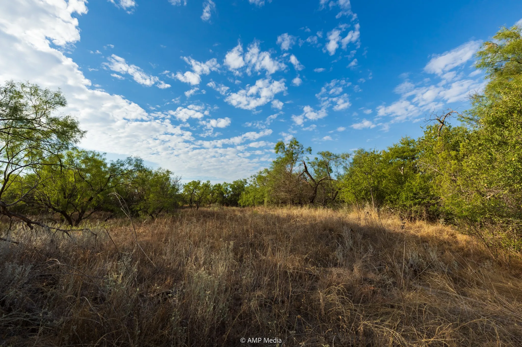 Ranch For Sale in Stonewall County , TBD CR 107, Aspermont, Texas 79502, 0, 0, Garage spaces, 0 Sqft, built in 0, mls#21086517, Real Estate Agent in Aspermont, Homes For Sale in Stonewall county, Homes For Sale in Aspermont, Realtor in Aspermont Texas, Real Estate Brokerage Independent Realty Texas, Luminita Cordes Realtor