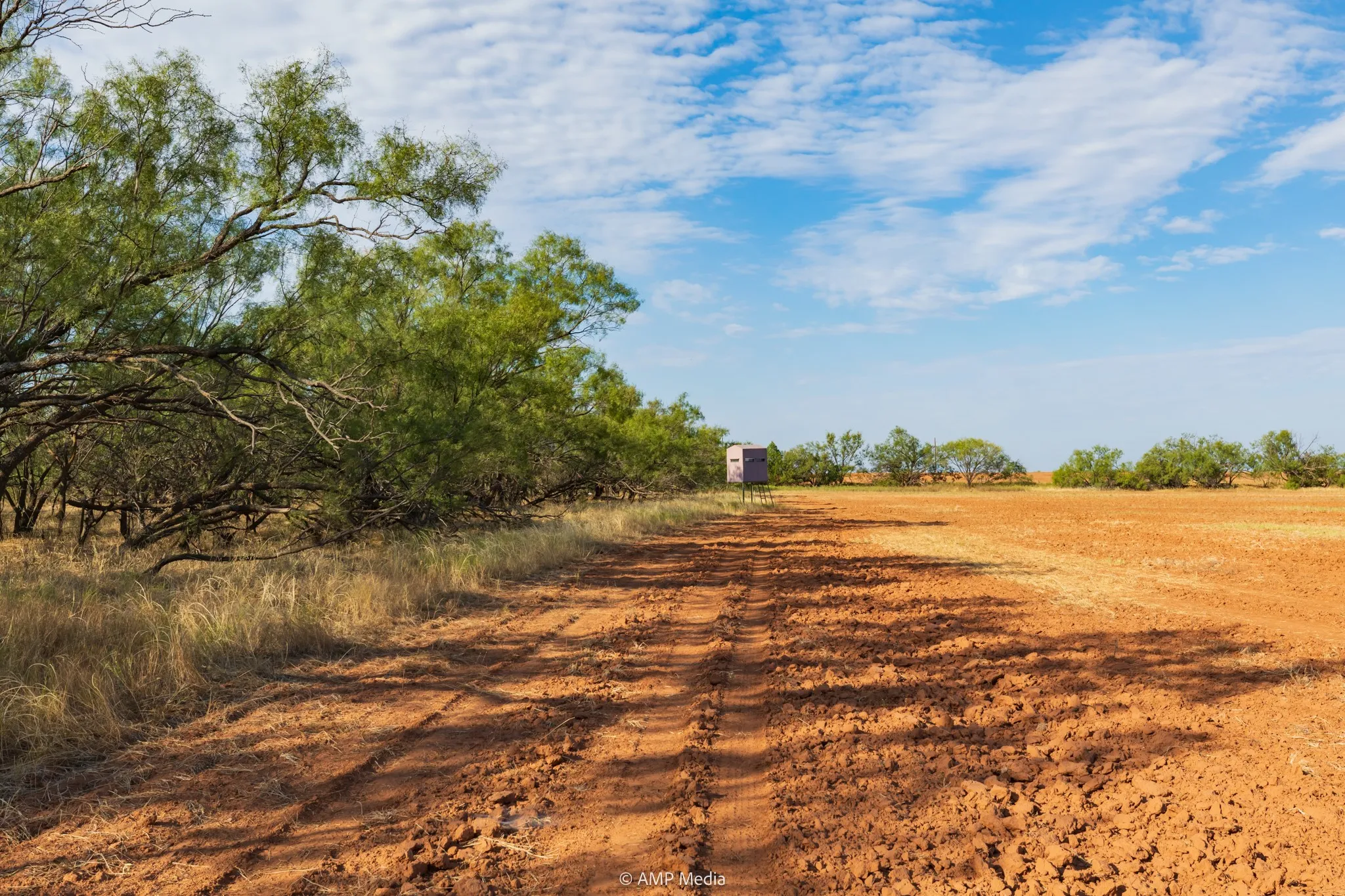 Ranch For Sale in Stonewall County , TBD CR 107, Aspermont, Texas 79502, 0, 0, Garage spaces, 0 Sqft, built in 0, mls#21086517, Real Estate Agent in Aspermont, Homes For Sale in Stonewall county, Homes For Sale in Aspermont, Realtor in Aspermont Texas, Real Estate Brokerage Independent Realty Texas, Luminita Cordes Realtor