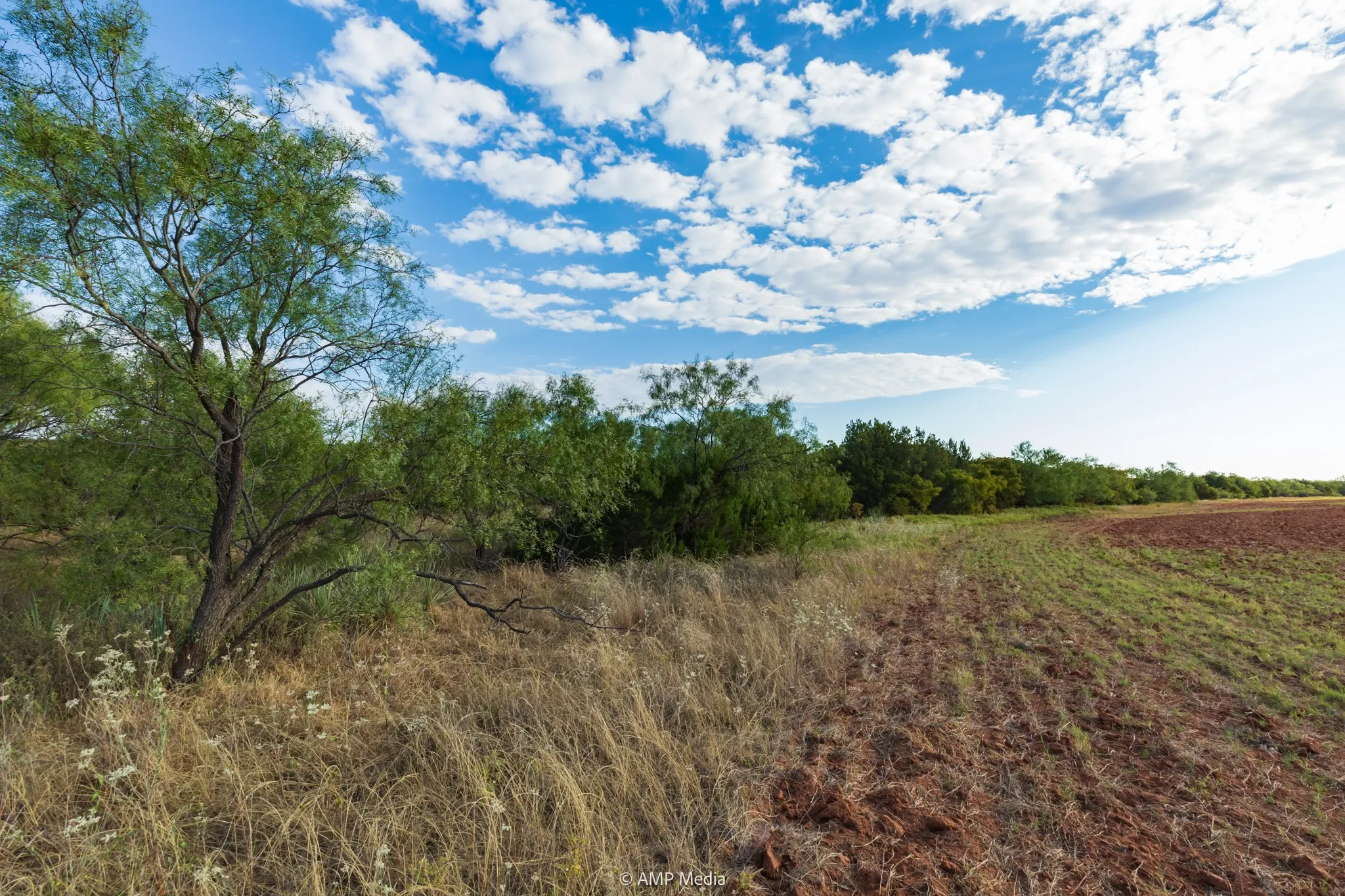 Ranch For Sale in Stonewall County , TBD CR 107, Aspermont, Texas 79502, 0, 0, Garage spaces, 0 Sqft, built in 0, mls#21086517, Real Estate Agent in Aspermont, Homes For Sale in Stonewall county, Homes For Sale in Aspermont, Realtor in Aspermont Texas, Real Estate Brokerage Independent Realty Texas, Luminita Cordes Realtor