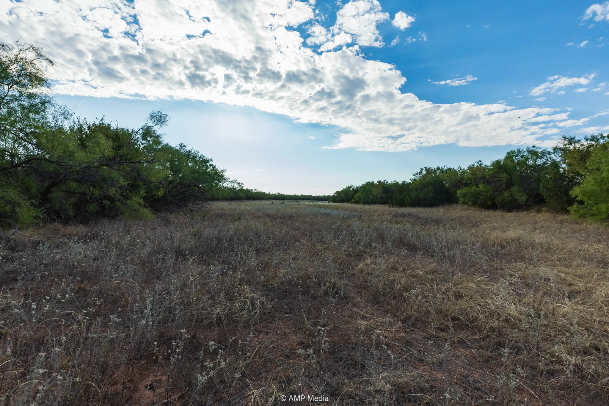 Ranch For Sale in Stonewall County , TBD CR 107, Aspermont, Texas 79502, 0, 0, Garage spaces, 0 Sqft, built in 0, mls#21086517, Real Estate Agent in Aspermont, Homes For Sale in Stonewall county, Homes For Sale in Aspermont, Realtor in Aspermont Texas, Real Estate Brokerage Independent Realty Texas, Luminita Cordes Realtor