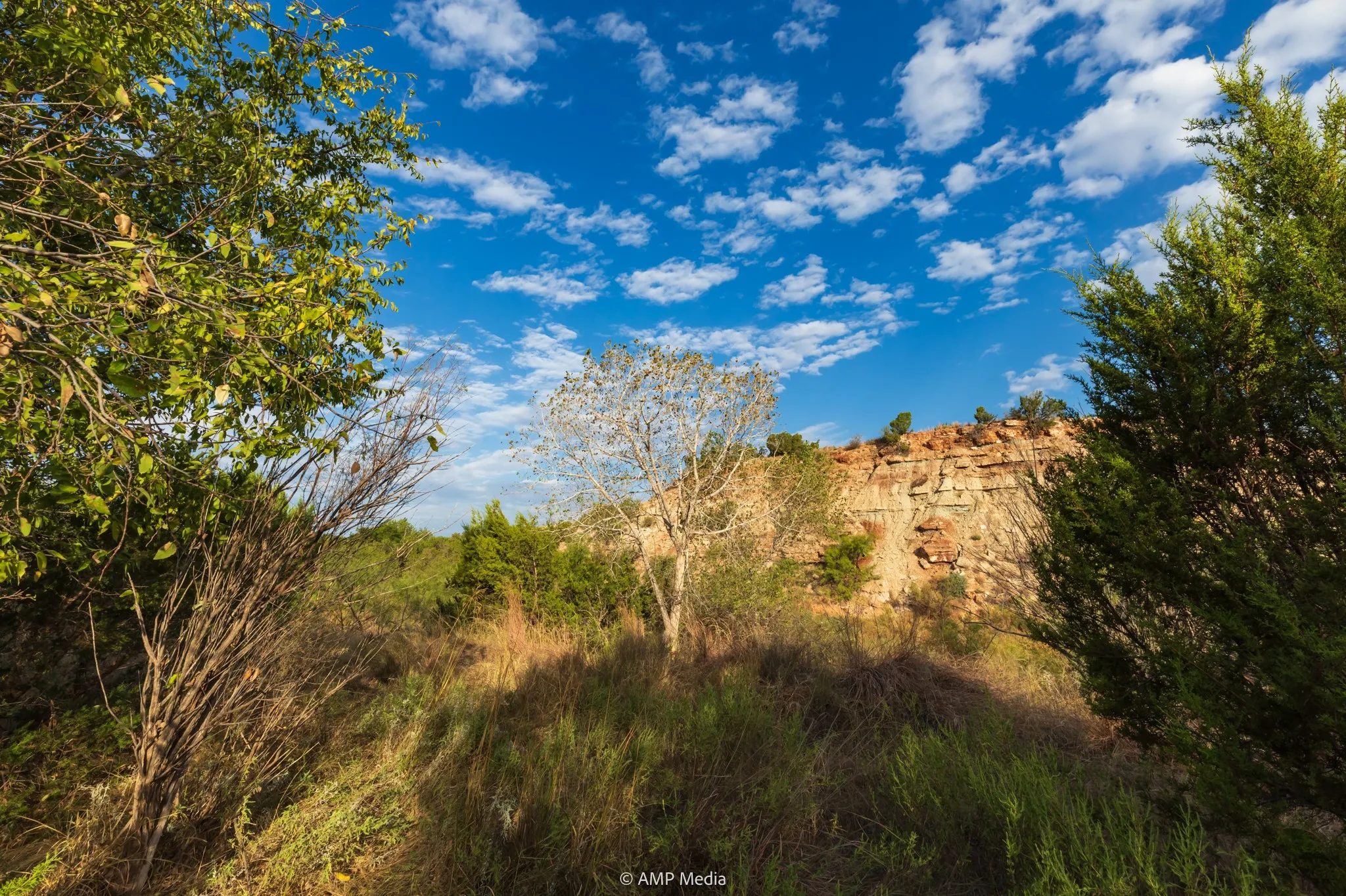 Ranch For Sale in Stonewall County , TBD CR 107, Aspermont, Texas 79502, 0, 0, Garage spaces, 0 Sqft, built in 0, mls#21086517, Real Estate Agent in Aspermont, Homes For Sale in Stonewall county, Homes For Sale in Aspermont, Realtor in Aspermont Texas, Real Estate Brokerage Independent Realty Texas, Luminita Cordes Realtor