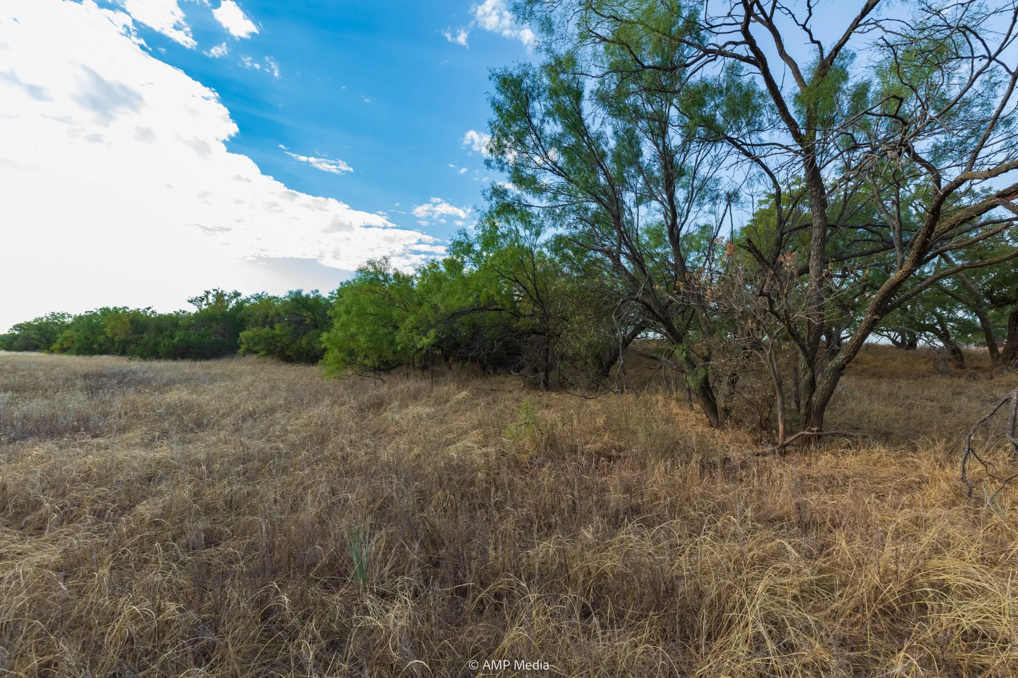 Ranch For Sale in Stonewall County , TBD CR 107, Aspermont, Texas 79502, 0, 0, Garage spaces, 0 Sqft, built in 0, mls#21086517, Real Estate Agent in Aspermont, Homes For Sale in Stonewall county, Homes For Sale in Aspermont, Realtor in Aspermont Texas, Real Estate Brokerage Independent Realty Texas, Luminita Cordes Realtor