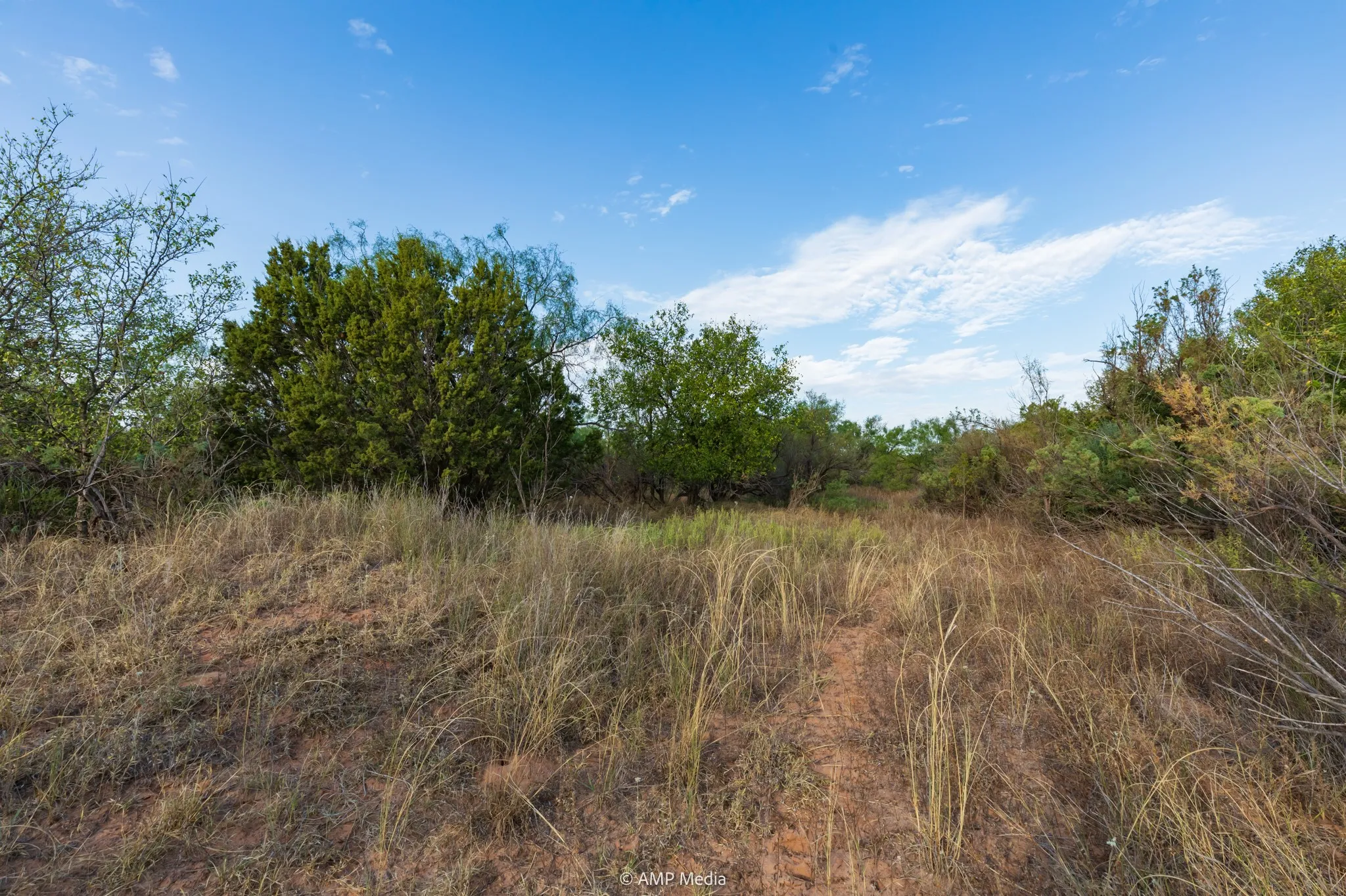 Ranch For Sale in Stonewall County , TBD CR 107, Aspermont, Texas 79502, 0, 0, Garage spaces, 0 Sqft, built in 0, mls#21086517, Real Estate Agent in Aspermont, Homes For Sale in Stonewall county, Homes For Sale in Aspermont, Realtor in Aspermont Texas, Real Estate Brokerage Independent Realty Texas, Luminita Cordes Realtor