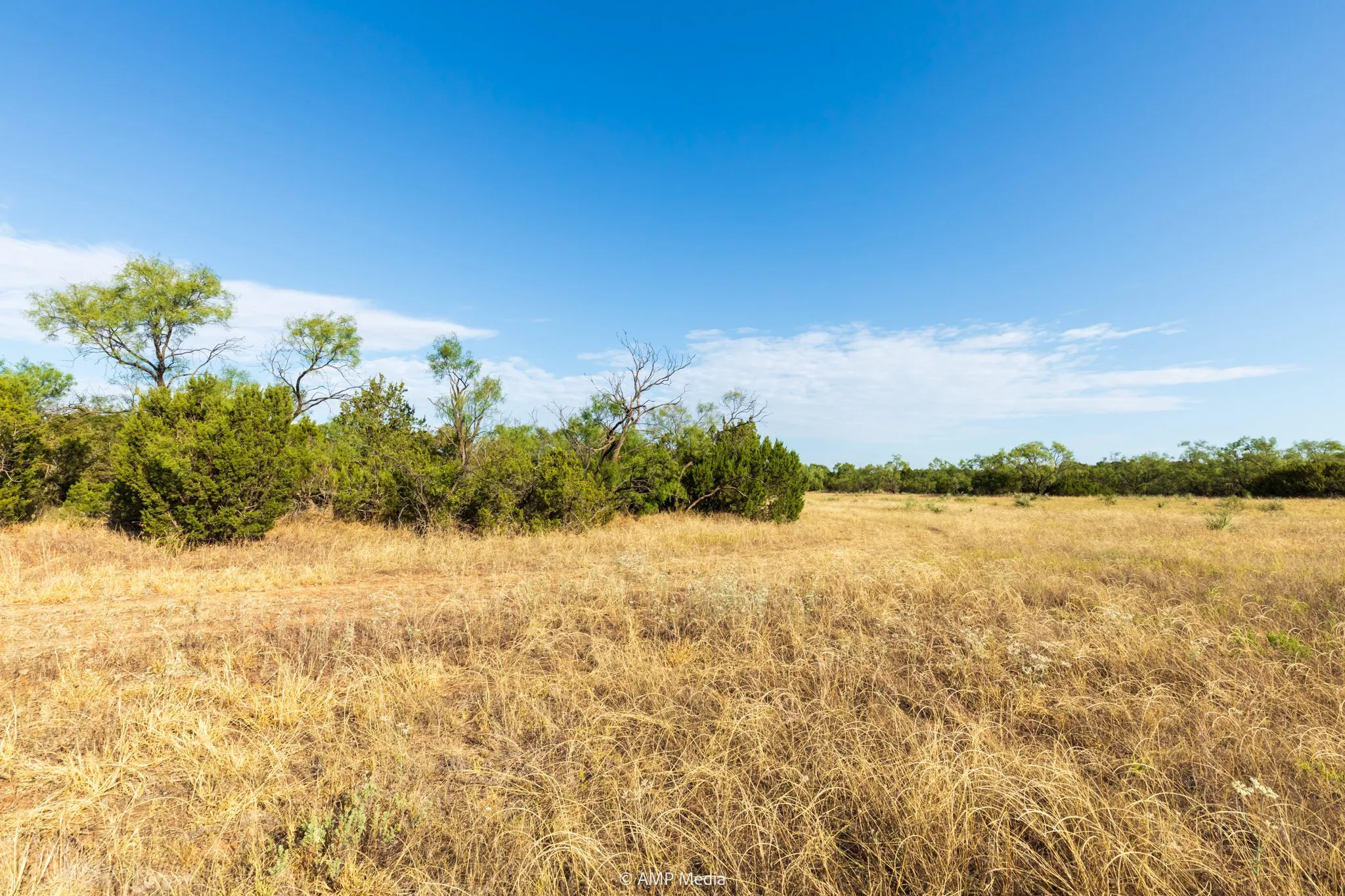 Ranch For Sale in Stonewall County , TBD CR 107, Aspermont, Texas 79502, 0, 0, Garage spaces, 0 Sqft, built in 0, mls#21086517, Real Estate Agent in Aspermont, Homes For Sale in Stonewall county, Homes For Sale in Aspermont, Realtor in Aspermont Texas, Real Estate Brokerage Independent Realty Texas, Luminita Cordes Realtor