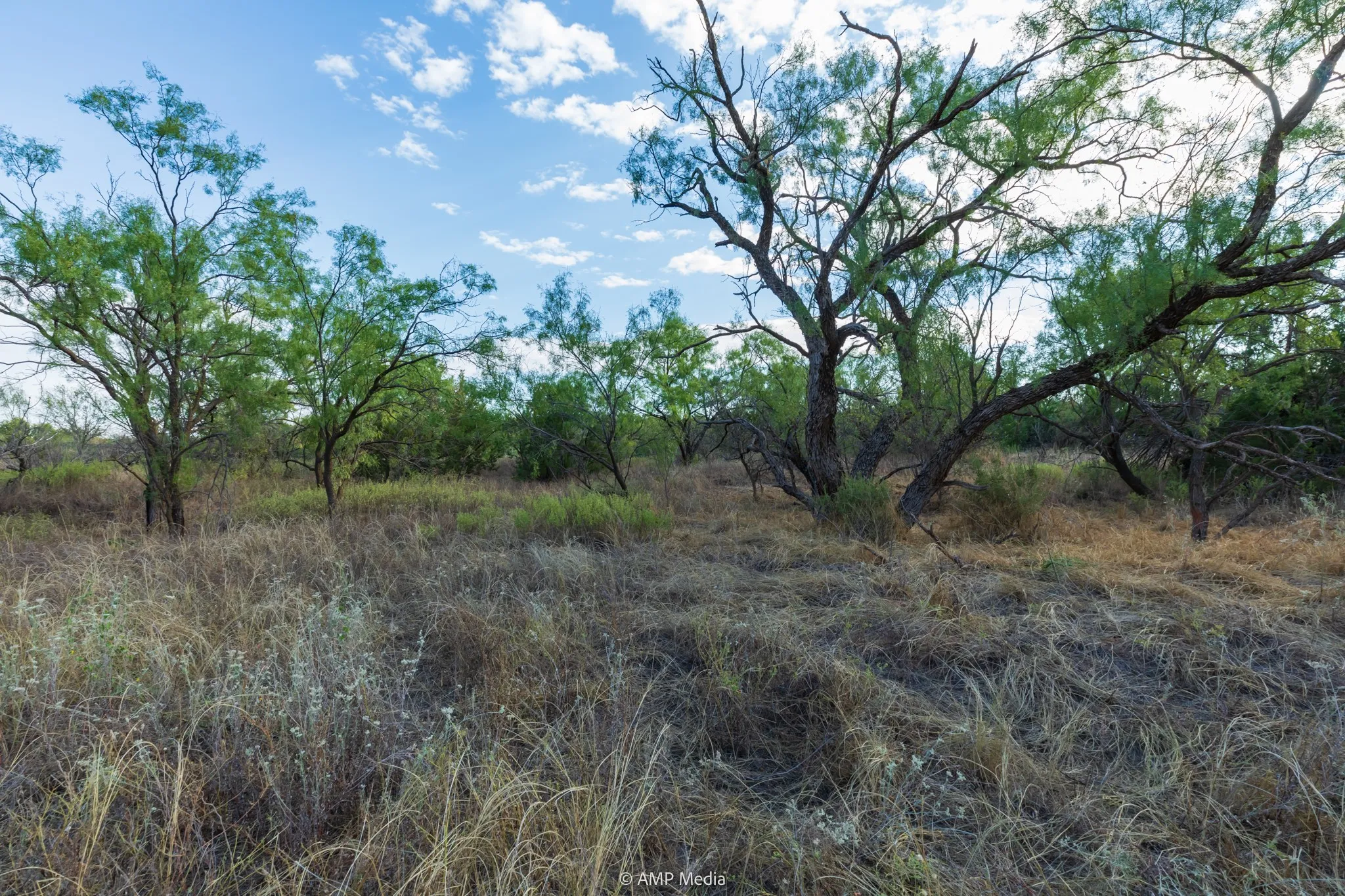 Ranch For Sale in Stonewall County , TBD CR 107, Aspermont, Texas 79502, 0, 0, Garage spaces, 0 Sqft, built in 0, mls#21086517, Real Estate Agent in Aspermont, Homes For Sale in Stonewall county, Homes For Sale in Aspermont, Realtor in Aspermont Texas, Real Estate Brokerage Independent Realty Texas, Luminita Cordes Realtor