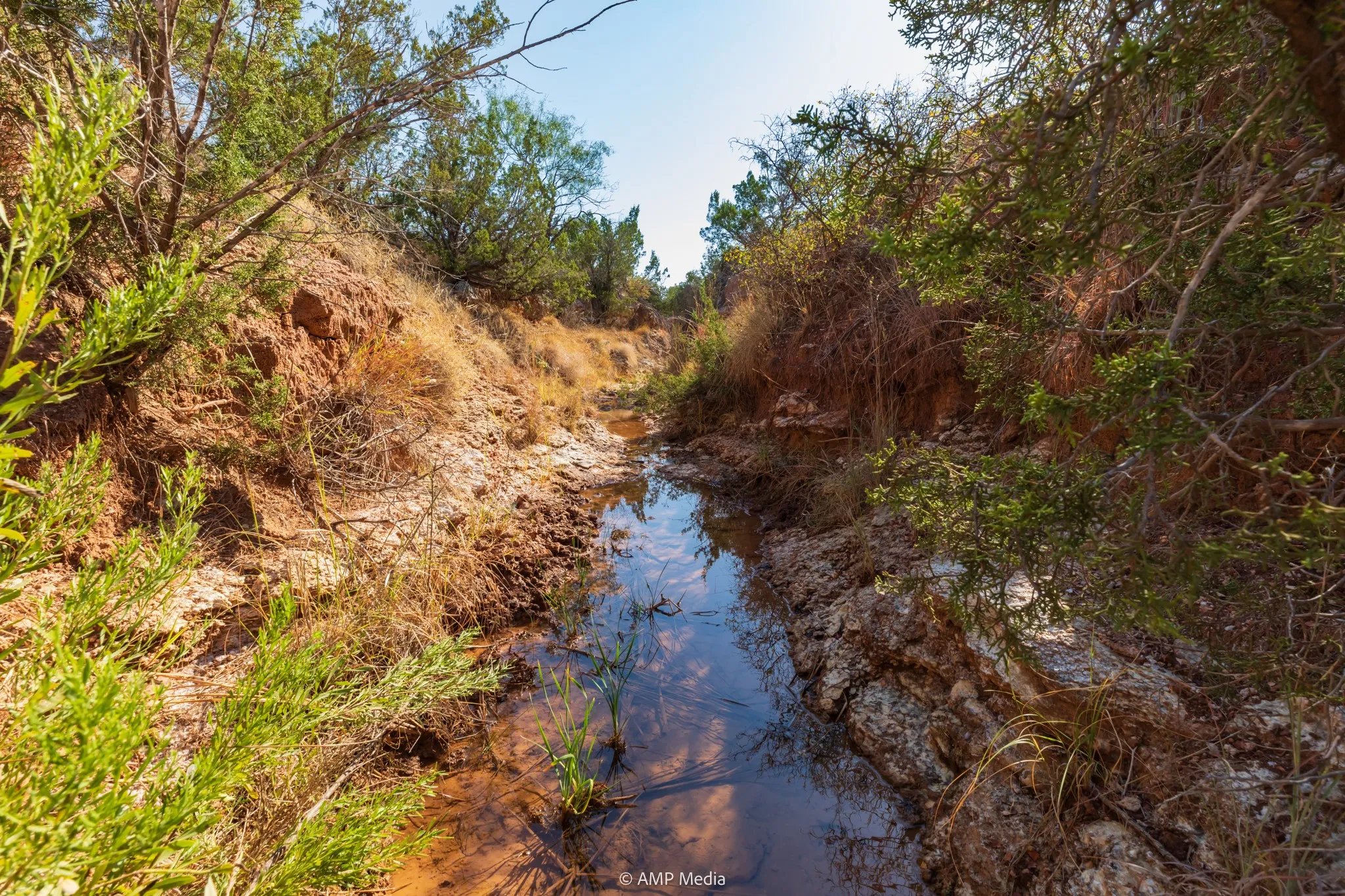 Ranch For Sale in Stonewall County , TBD CR 107, Aspermont, Texas 79502, 0, 0, Garage spaces, 0 Sqft, built in 0, mls#21086517, Real Estate Agent in Aspermont, Homes For Sale in Stonewall county, Homes For Sale in Aspermont, Realtor in Aspermont Texas, Real Estate Brokerage Independent Realty Texas, Luminita Cordes Realtor