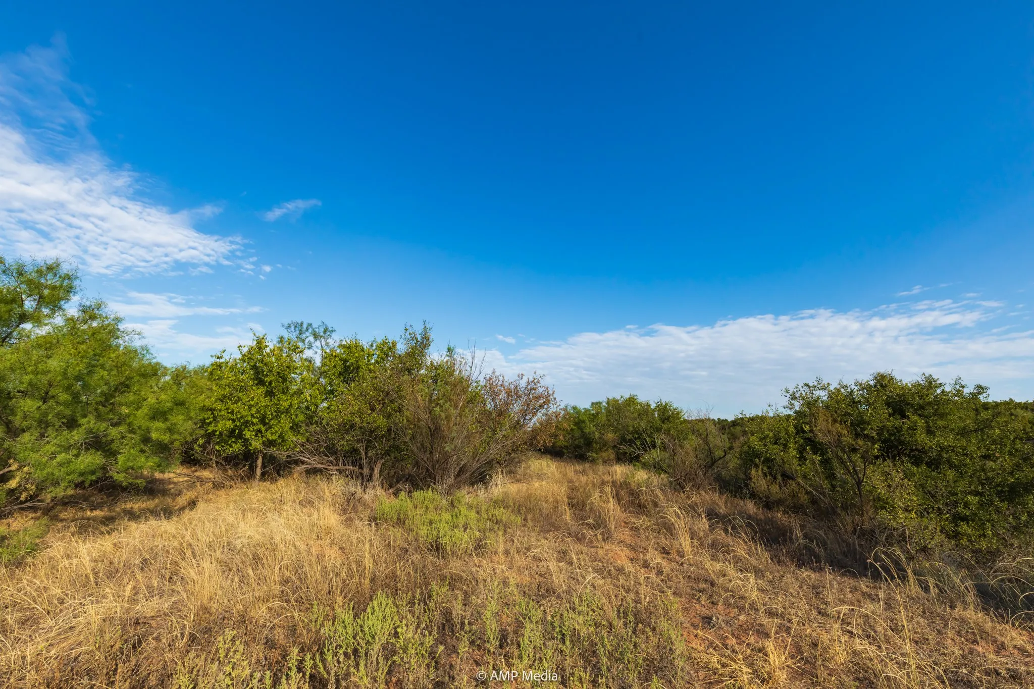 Ranch For Sale in Stonewall County , TBD CR 107, Aspermont, Texas 79502, 0, 0, Garage spaces, 0 Sqft, built in 0, mls#21086517, Real Estate Agent in Aspermont, Homes For Sale in Stonewall county, Homes For Sale in Aspermont, Realtor in Aspermont Texas, Real Estate Brokerage Independent Realty Texas, Luminita Cordes Realtor