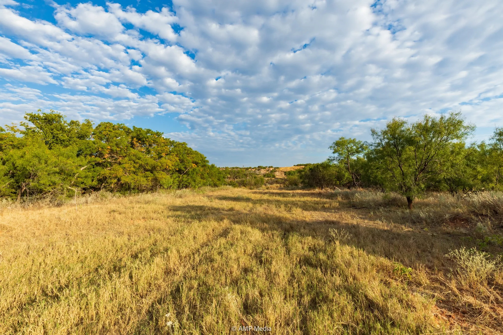 Ranch For Sale in Stonewall County , TBD CR 107, Aspermont, Texas 79502, 0, 0, Garage spaces, 0 Sqft, built in 0, mls#21086517, Real Estate Agent in Aspermont, Homes For Sale in Stonewall county, Homes For Sale in Aspermont, Realtor in Aspermont Texas, Real Estate Brokerage Independent Realty Texas, Luminita Cordes Realtor