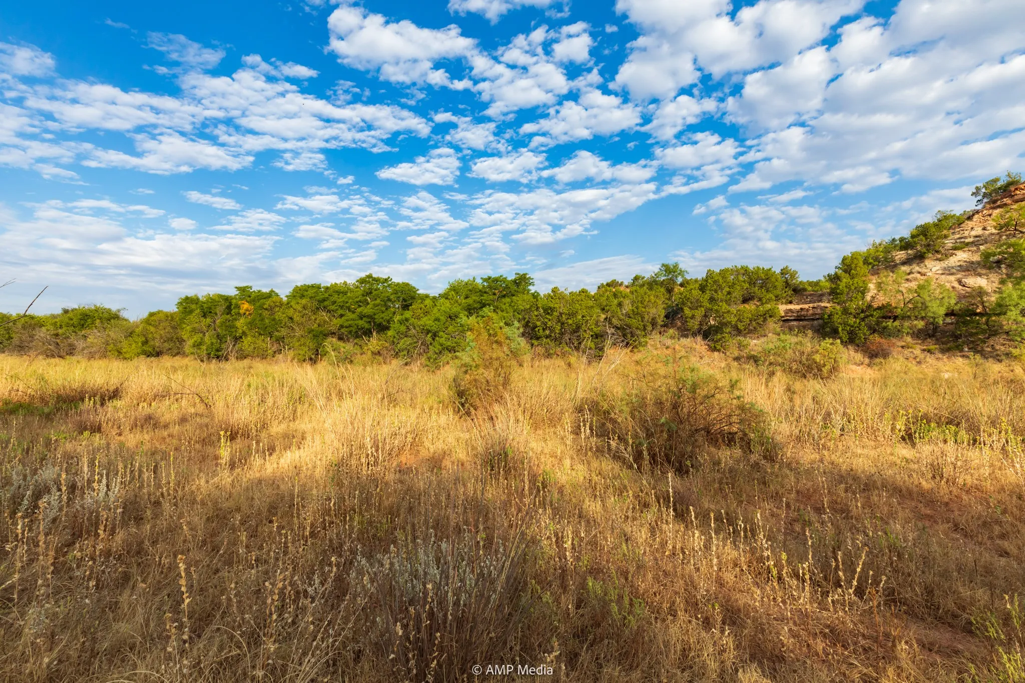 Ranch For Sale in Stonewall County , TBD CR 107, Aspermont, Texas 79502, 0, 0, Garage spaces, 0 Sqft, built in 0, mls#21086517, Real Estate Agent in Aspermont, Homes For Sale in Stonewall county, Homes For Sale in Aspermont, Realtor in Aspermont Texas, Real Estate Brokerage Independent Realty Texas, Luminita Cordes Realtor