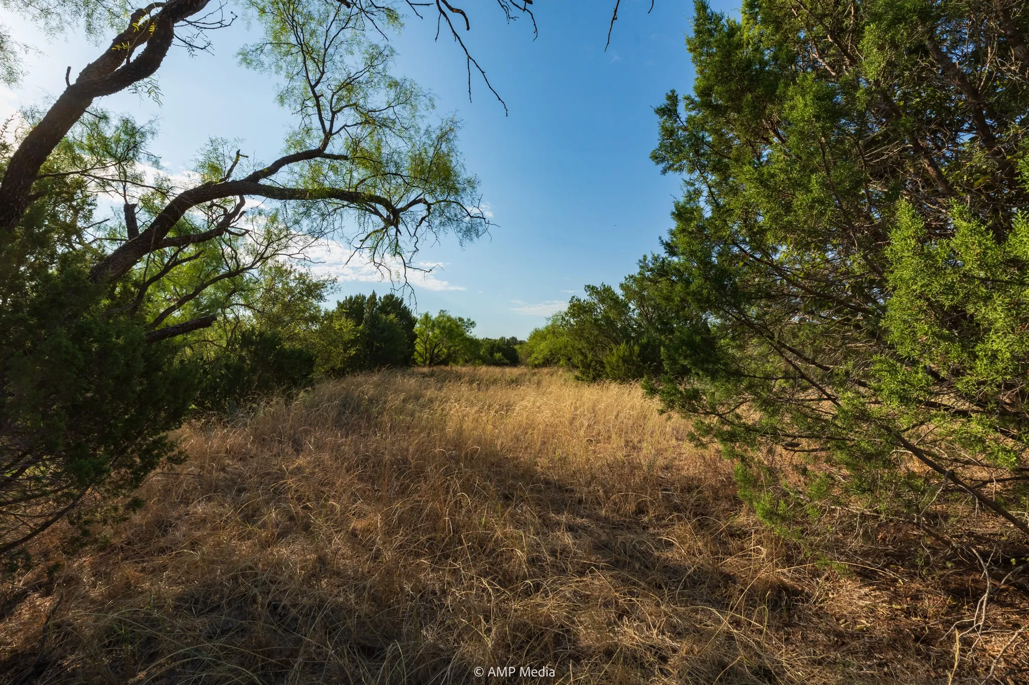 Ranch For Sale in Stonewall County , TBD CR 107, Aspermont, Texas 79502, 0, 0, Garage spaces, 0 Sqft, built in 0, mls#21086517, Real Estate Agent in Aspermont, Homes For Sale in Stonewall county, Homes For Sale in Aspermont, Realtor in Aspermont Texas, Real Estate Brokerage Independent Realty Texas, Luminita Cordes Realtor