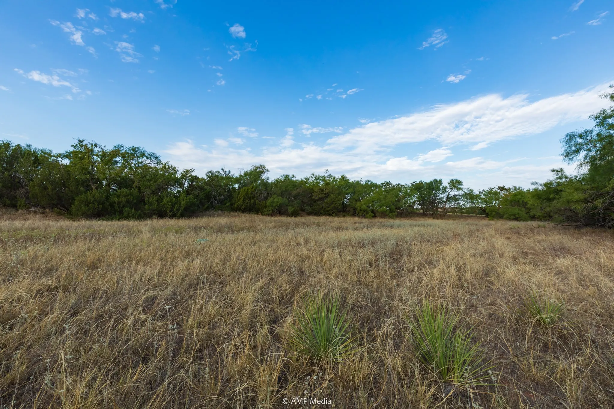 Ranch For Sale in Stonewall County , TBD CR 107, Aspermont, Texas 79502, 0, 0, Garage spaces, 0 Sqft, built in 0, mls#21086517, Real Estate Agent in Aspermont, Homes For Sale in Stonewall county, Homes For Sale in Aspermont, Realtor in Aspermont Texas, Real Estate Brokerage Independent Realty Texas, Luminita Cordes Realtor