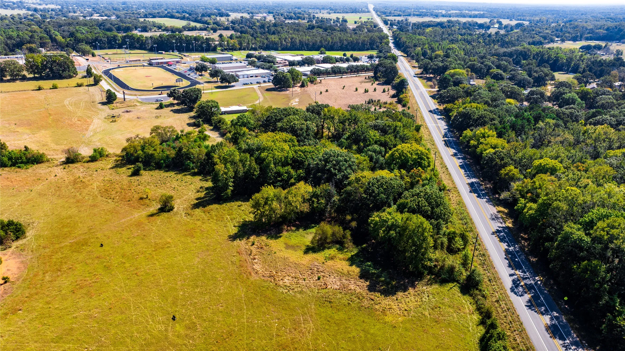 Bird's eye view of a tree filled landscape