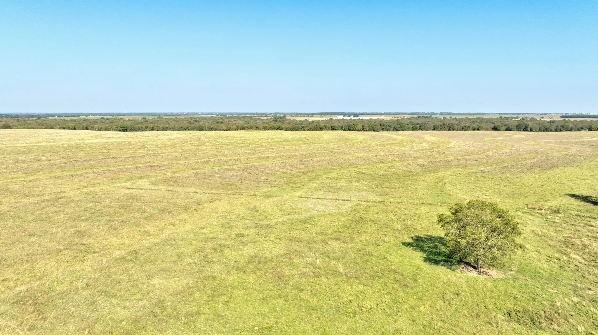 Unimproved Land For Sale in Grayson County , TBD E Baker Road, Pilot Point, Texas 76258, 0, 0, Garage spaces, 0 Sqft, built in 0, mls#21086380, Real Estate Agent in Pilot Point, Homes For Sale in Grayson county, Homes For Sale in Pilot Point, Realtor in Pilot Point Texas, Real Estate Brokerage Independent Realty Texas, Luminita Cordes Realtor