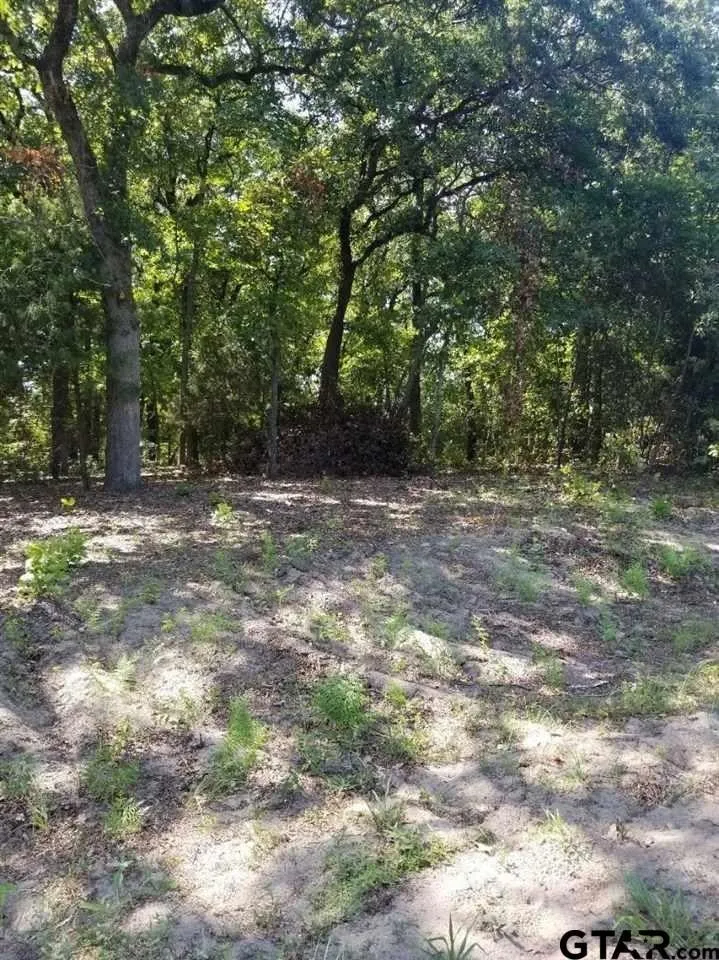Unimproved Land For Sale in Van Zandt County , N/A Birch Drive, Murchison, Texas 75778, 0, 0, Garage spaces, 0 Sqft, built in 0, mls#21084266, Real Estate Agent in Murchison, Homes For Sale in Van Zandt county, Homes For Sale in Murchison, Realtor in Murchison Texas, Real Estate Brokerage Independent Realty Texas, Luminita Cordes Realtor