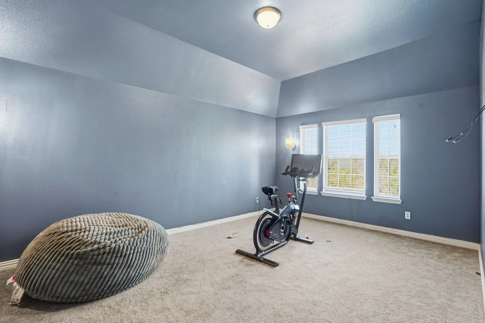 Exercise area featuring carpet floors and vaulted ceiling