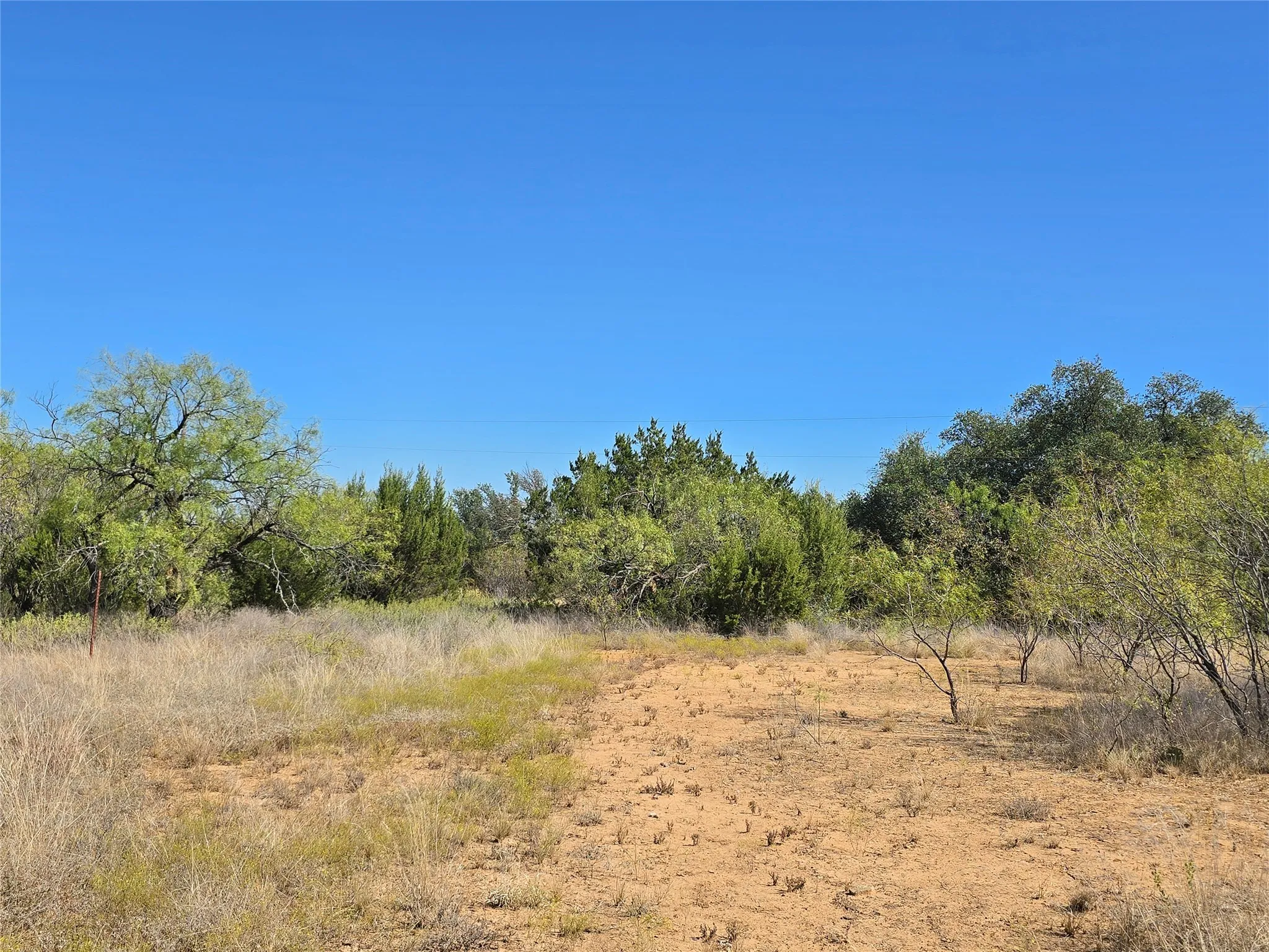 View of undeveloped land