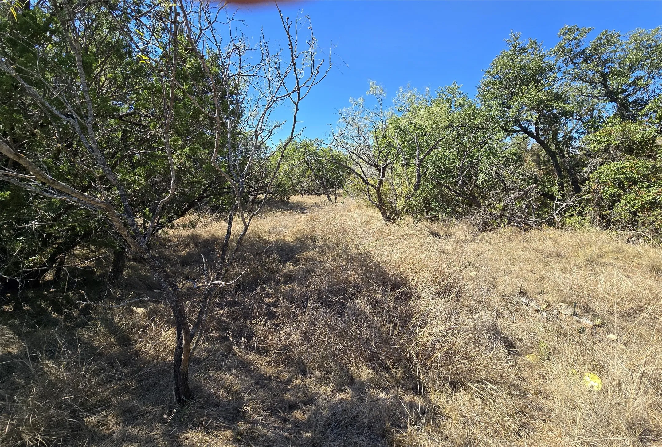 View of nature