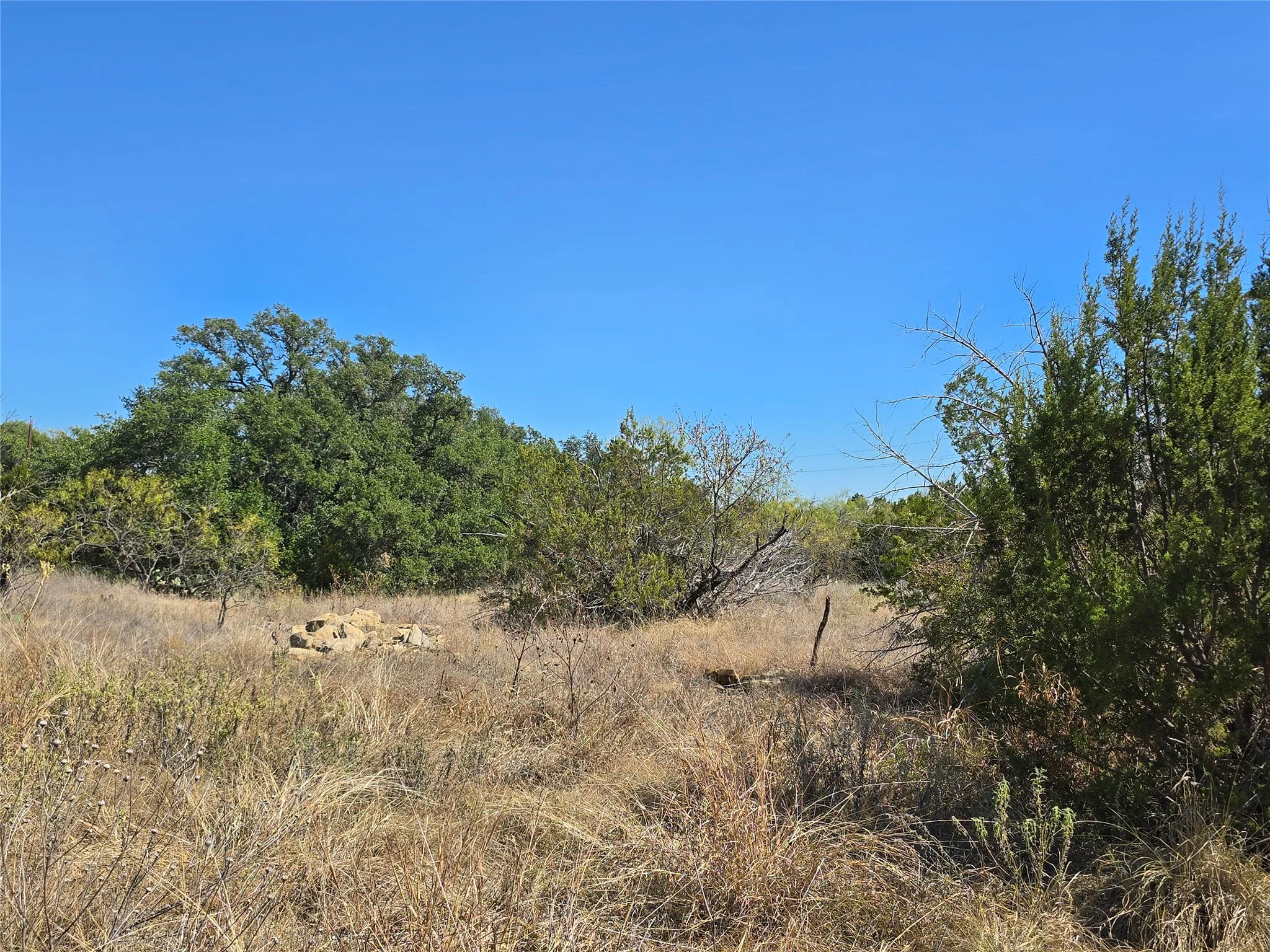 View of nature