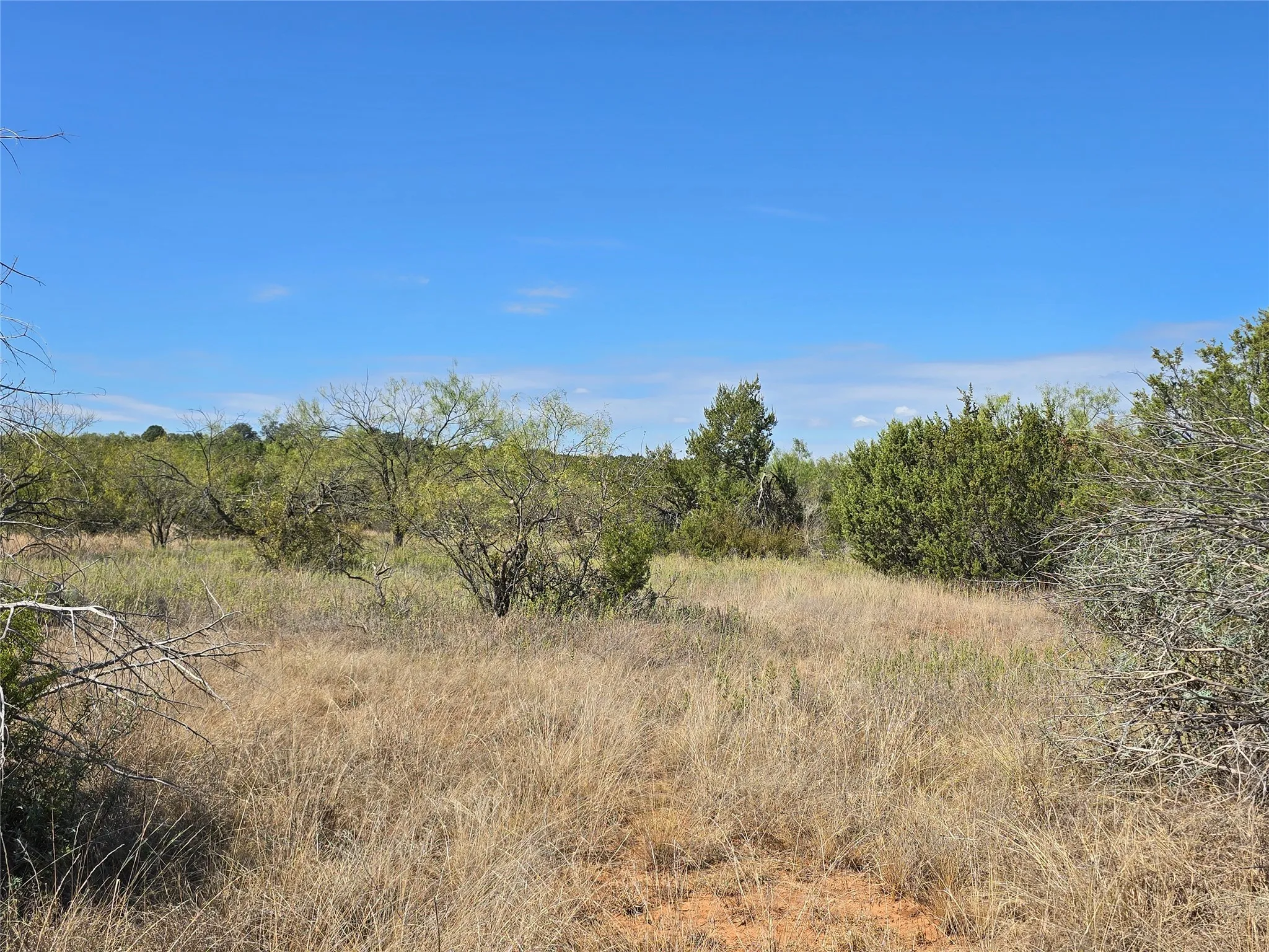 View of local wilderness featuring rural landscape