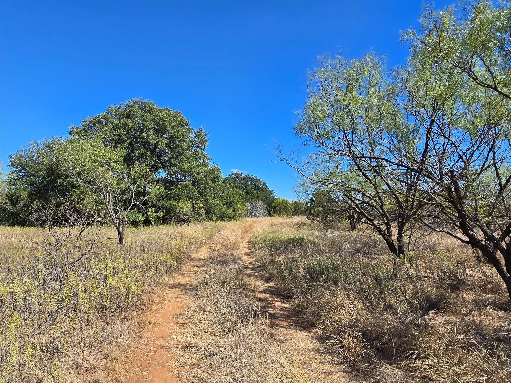 View of local wilderness