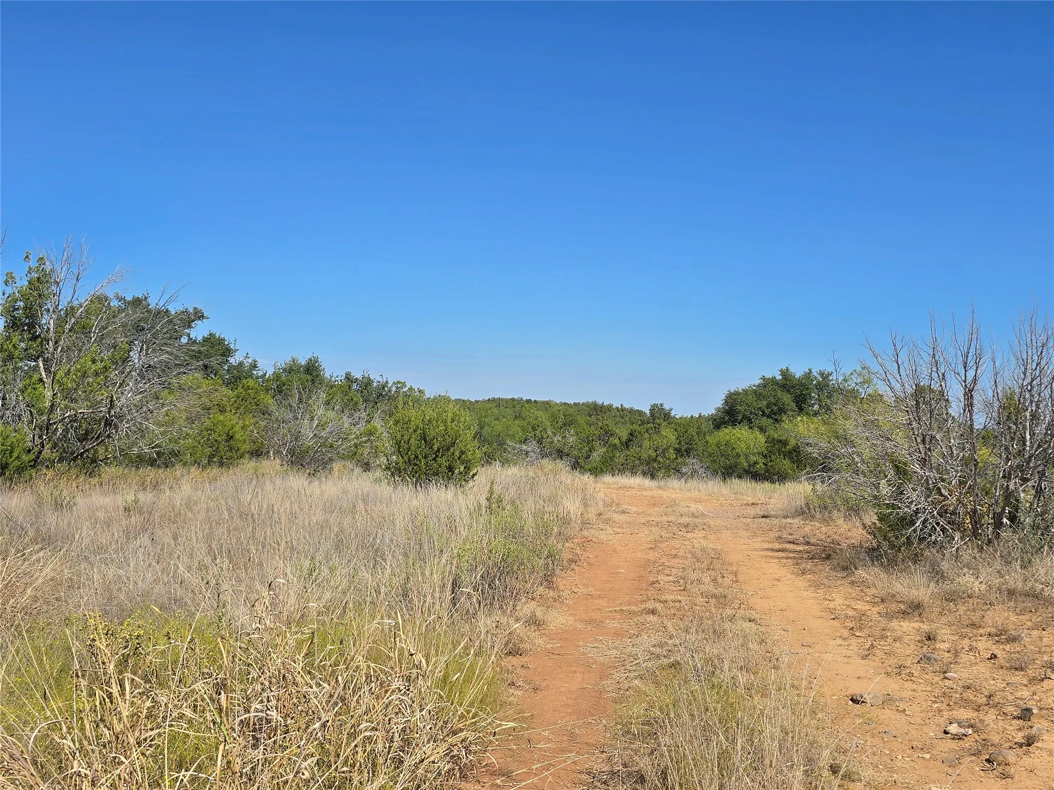 View of local wilderness featuring rural landscape