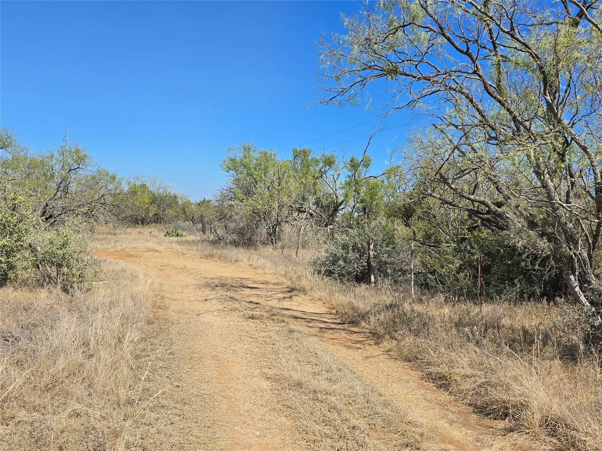 View of dirt / gravel road