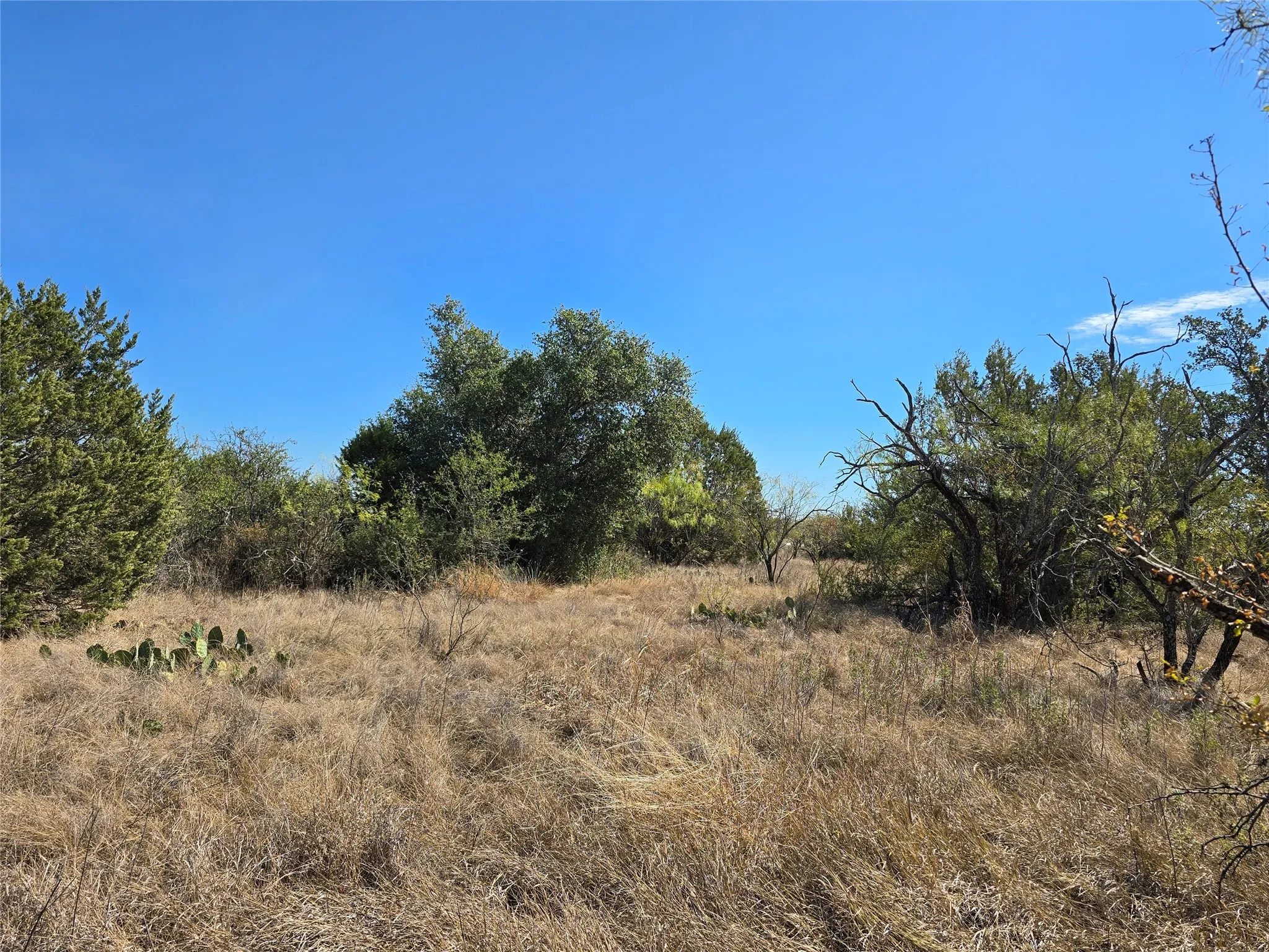 View of local wilderness with rural landscape