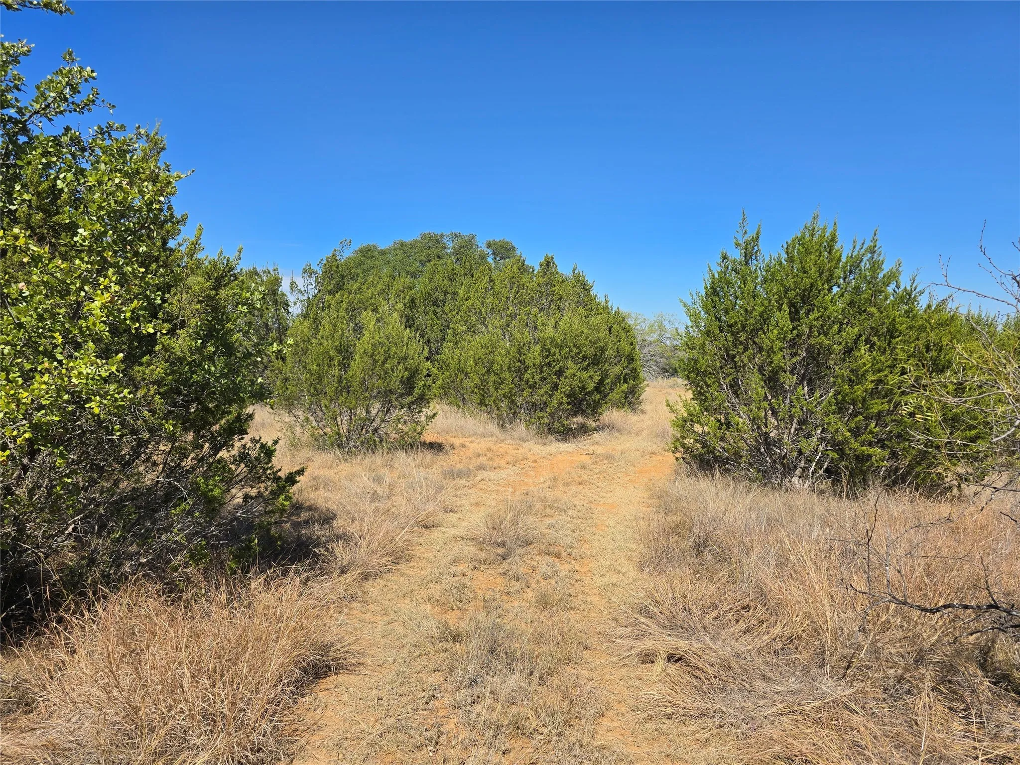 View of local wilderness
