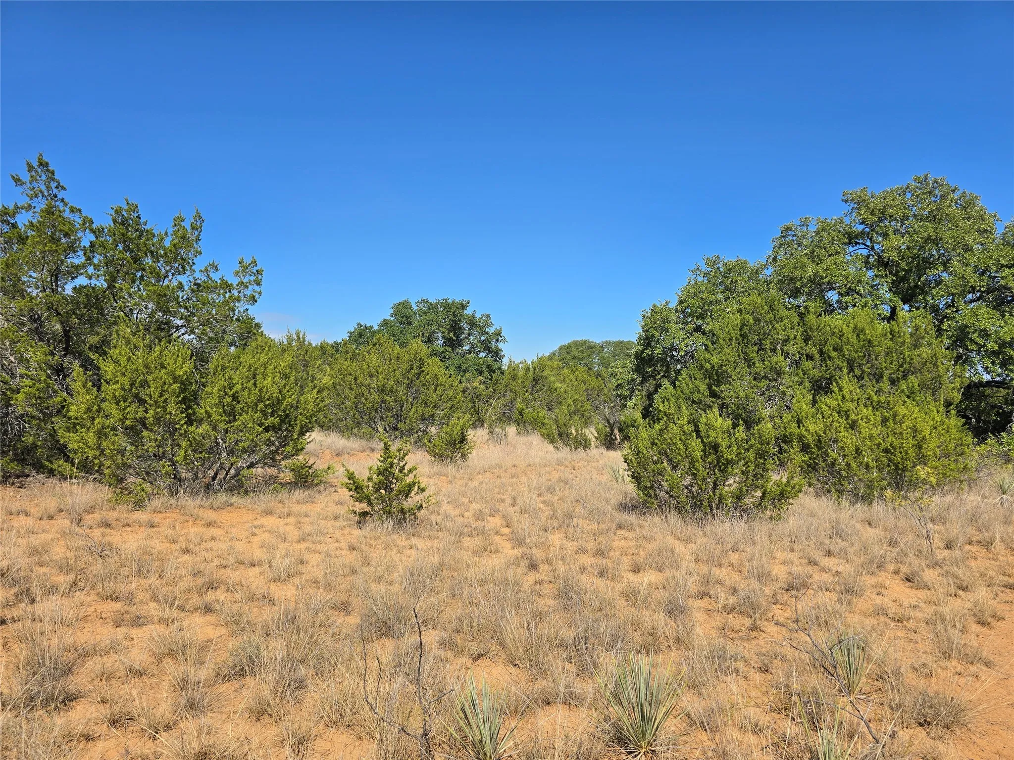 View of undeveloped land