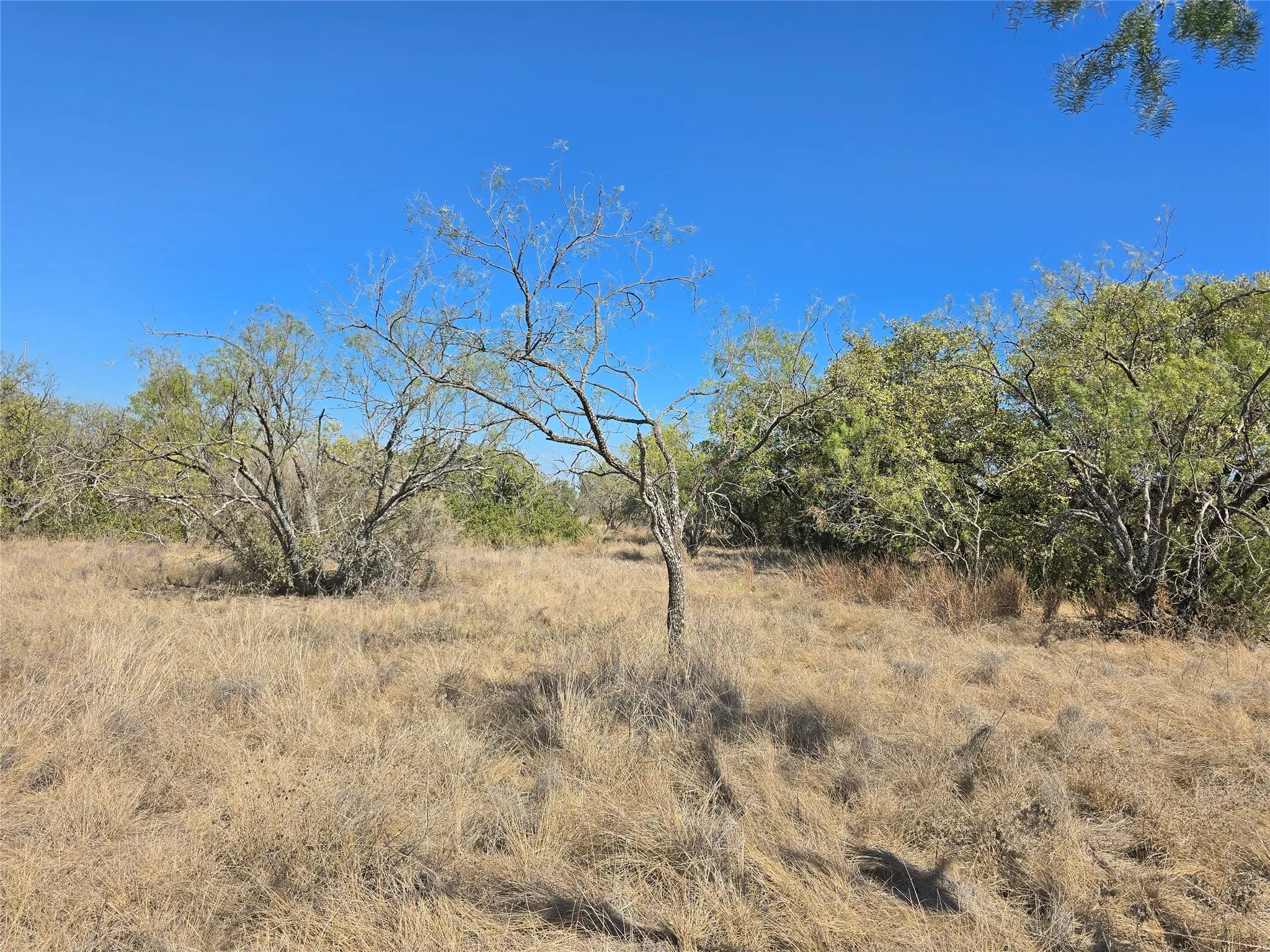 View of undeveloped land