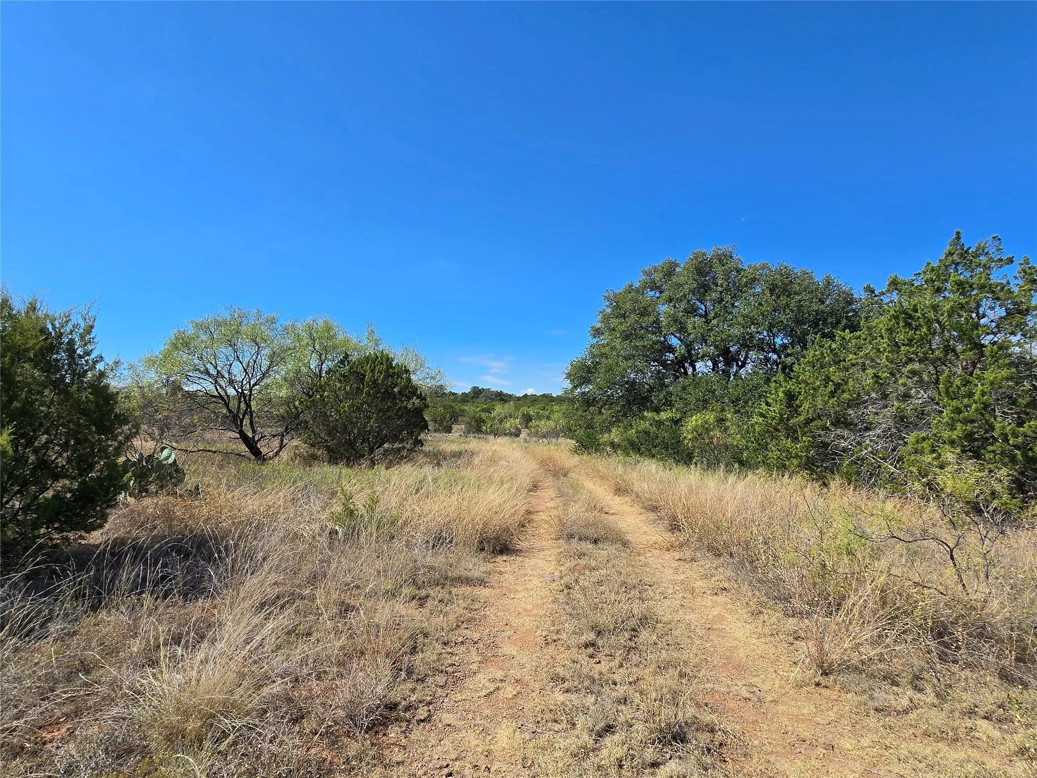 View of local wilderness