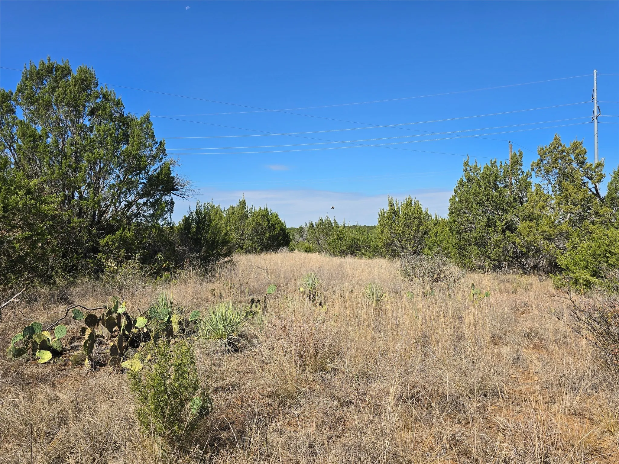 View of undeveloped land