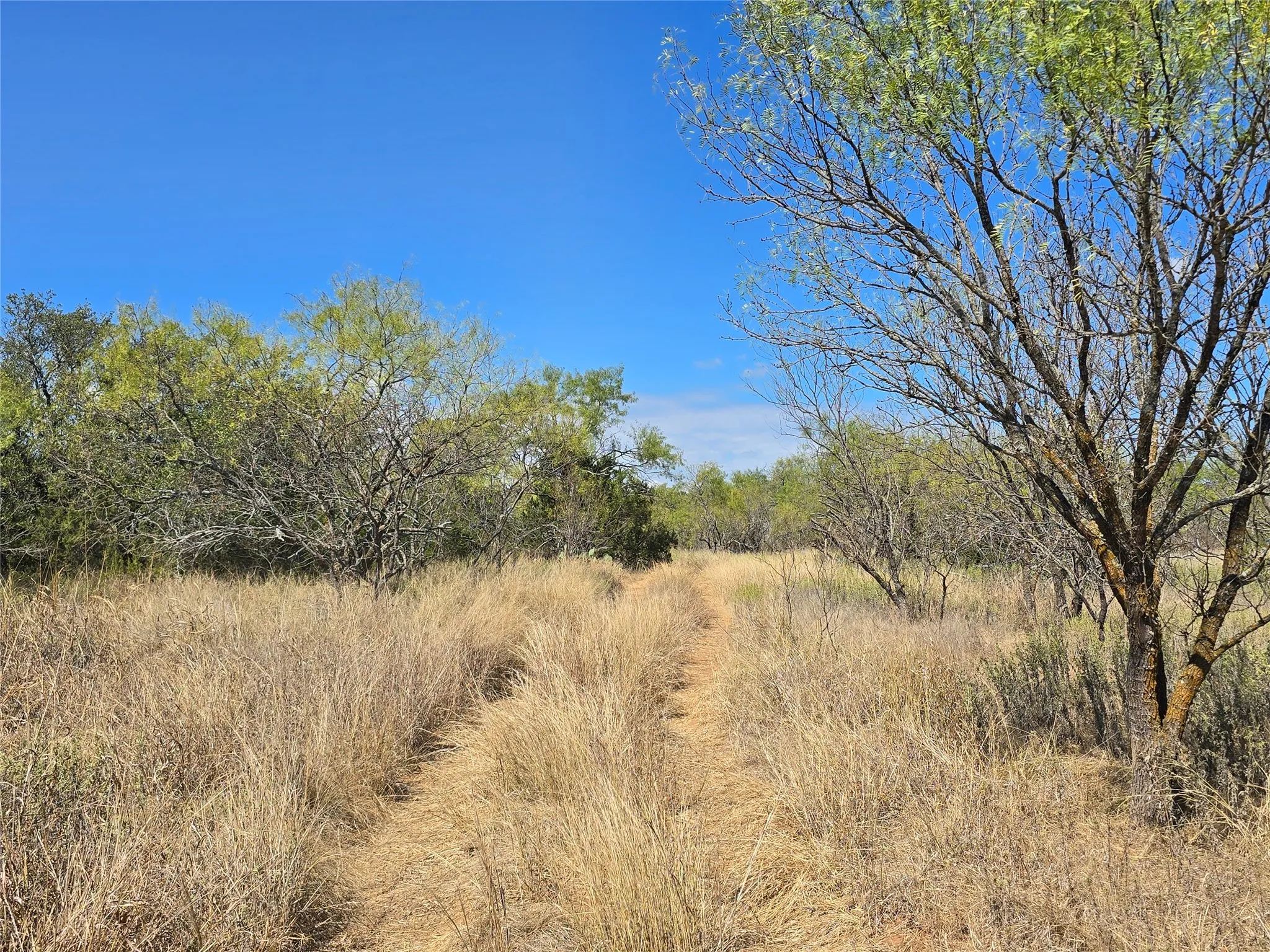 View of undeveloped land