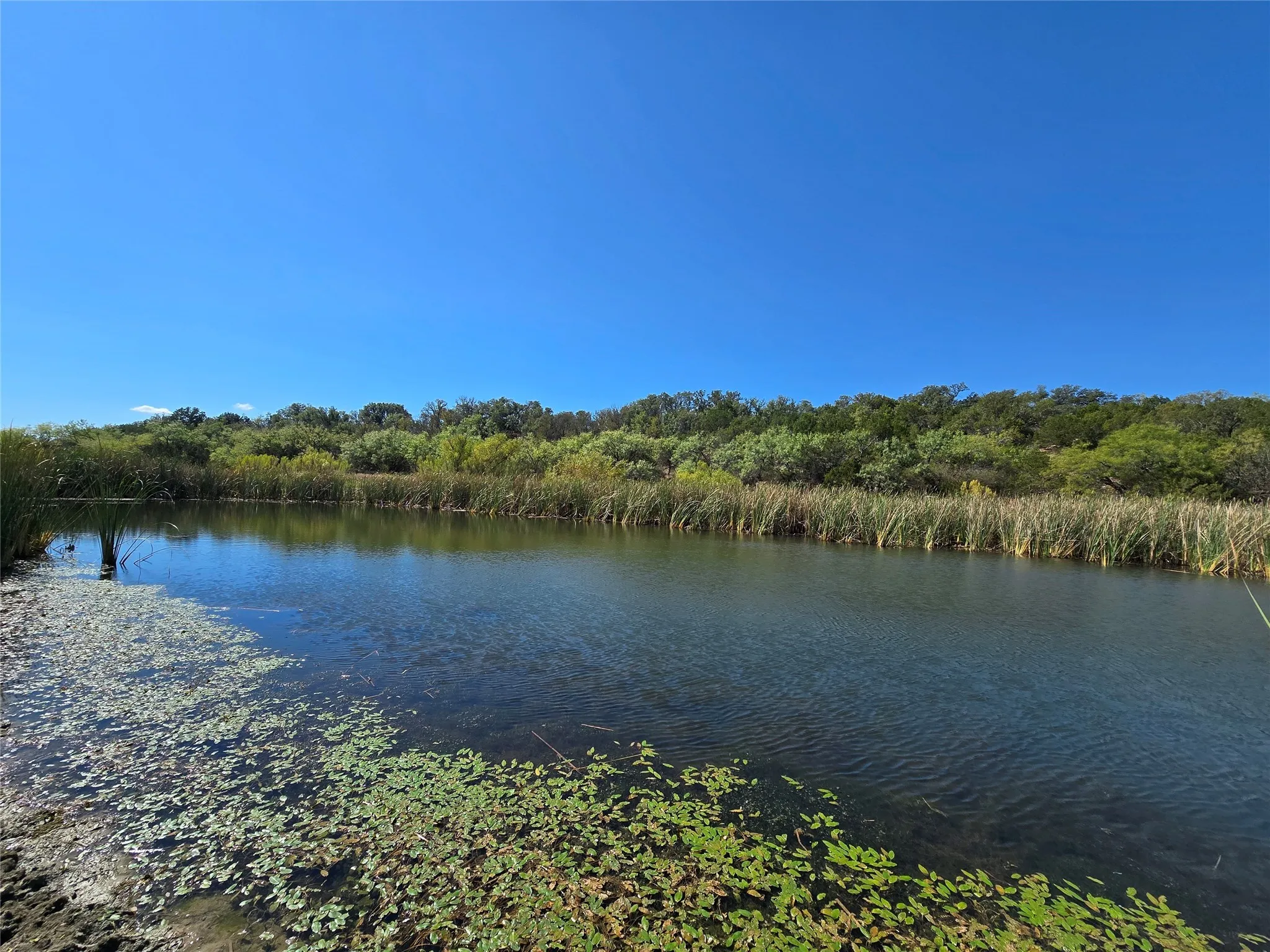 Ranch For Sale in Coleman County , TBD CR 108, Santa Anna, Texas 76878, 0, 0, Garage spaces, 0 Sqft, built in 0, mls#21087209, Real Estate Agent in Santa Anna, Homes For Sale in Coleman county, Homes For Sale in Santa Anna, Realtor in Santa Anna Texas, Real Estate Brokerage Independent Realty Texas, Luminita Cordes Realtor