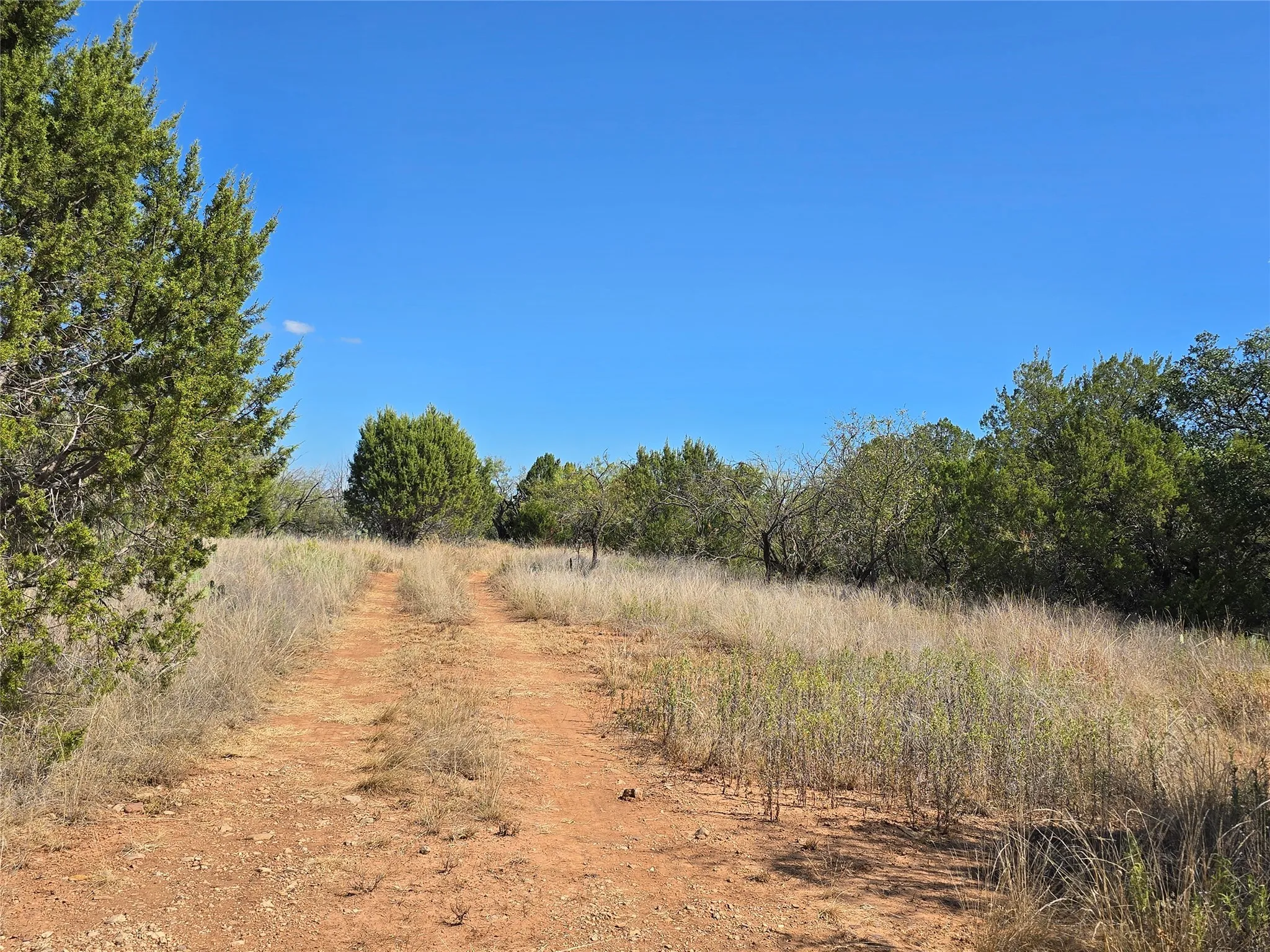 View of undeveloped land featuring rural landscape