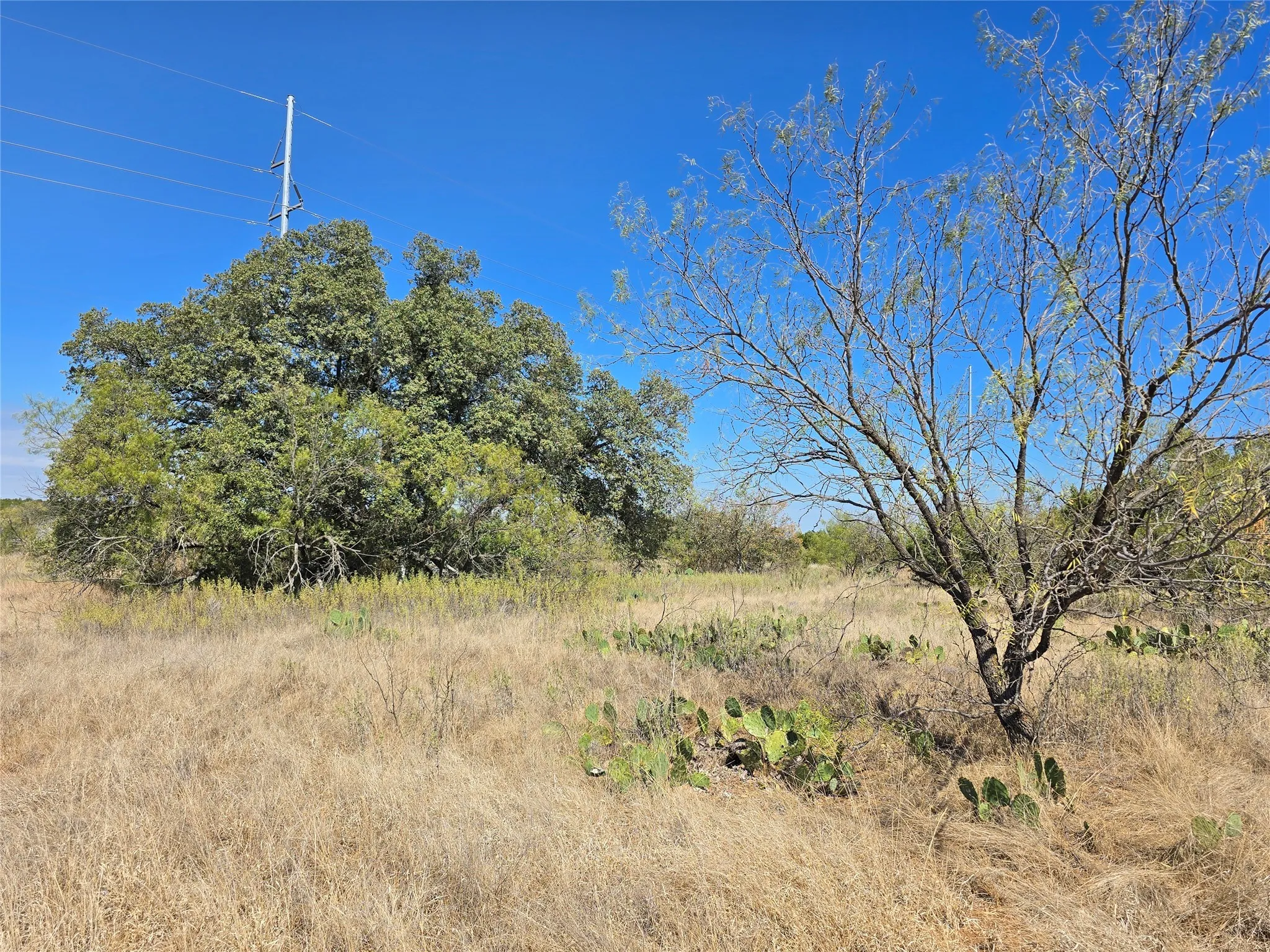 View of nature