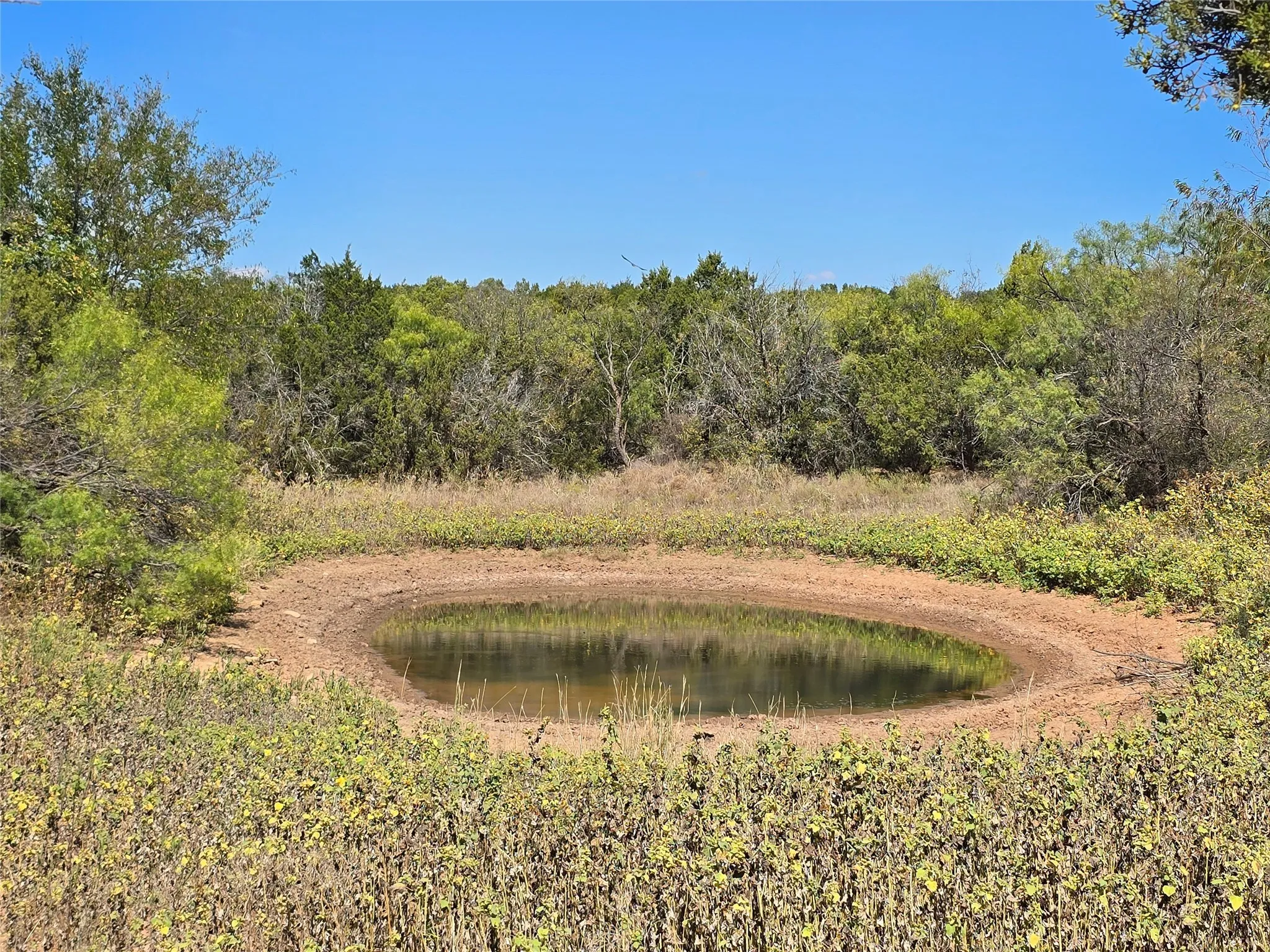 View of nature with a nearby body of water