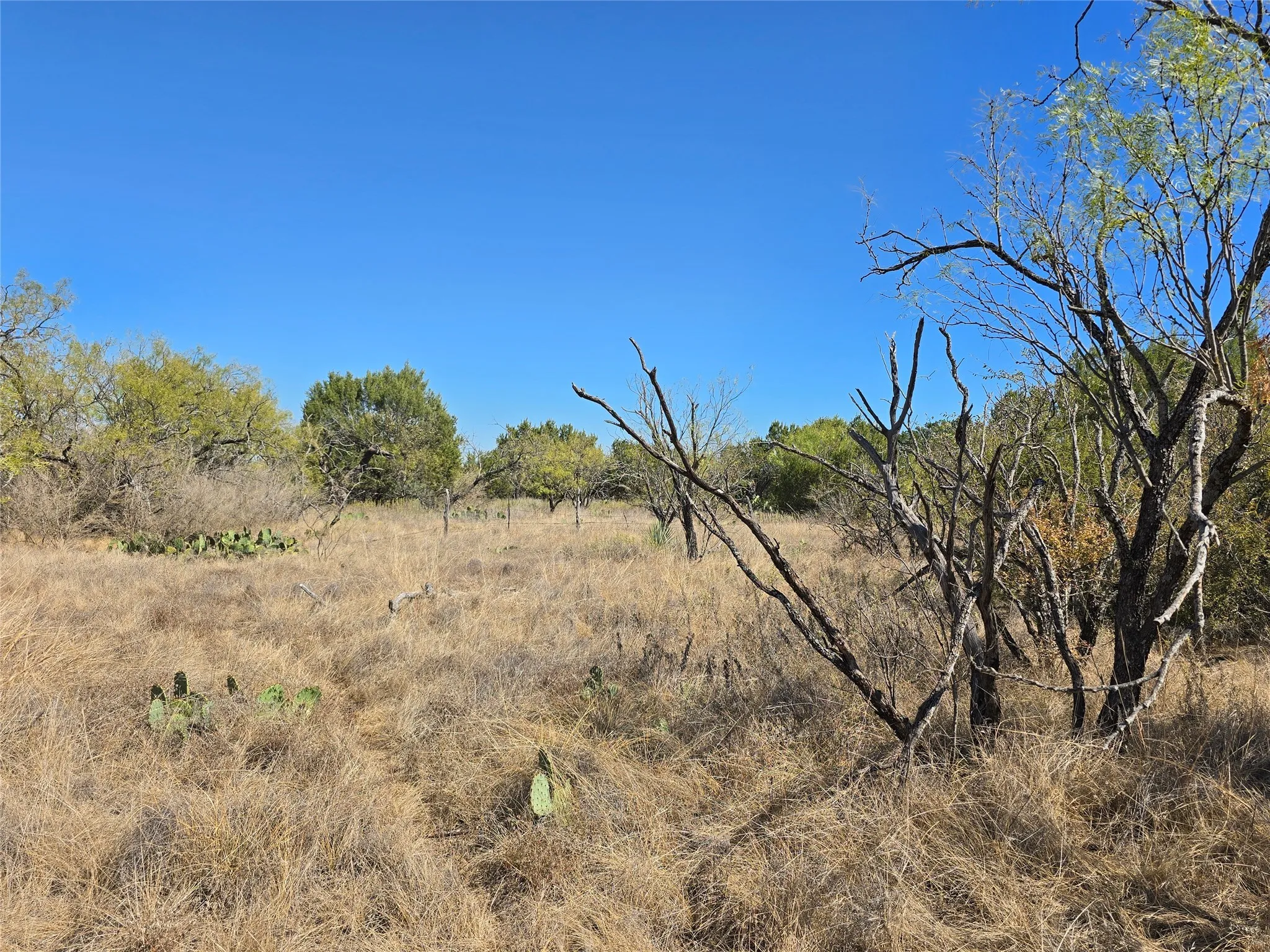 View of local wilderness with rural landscape