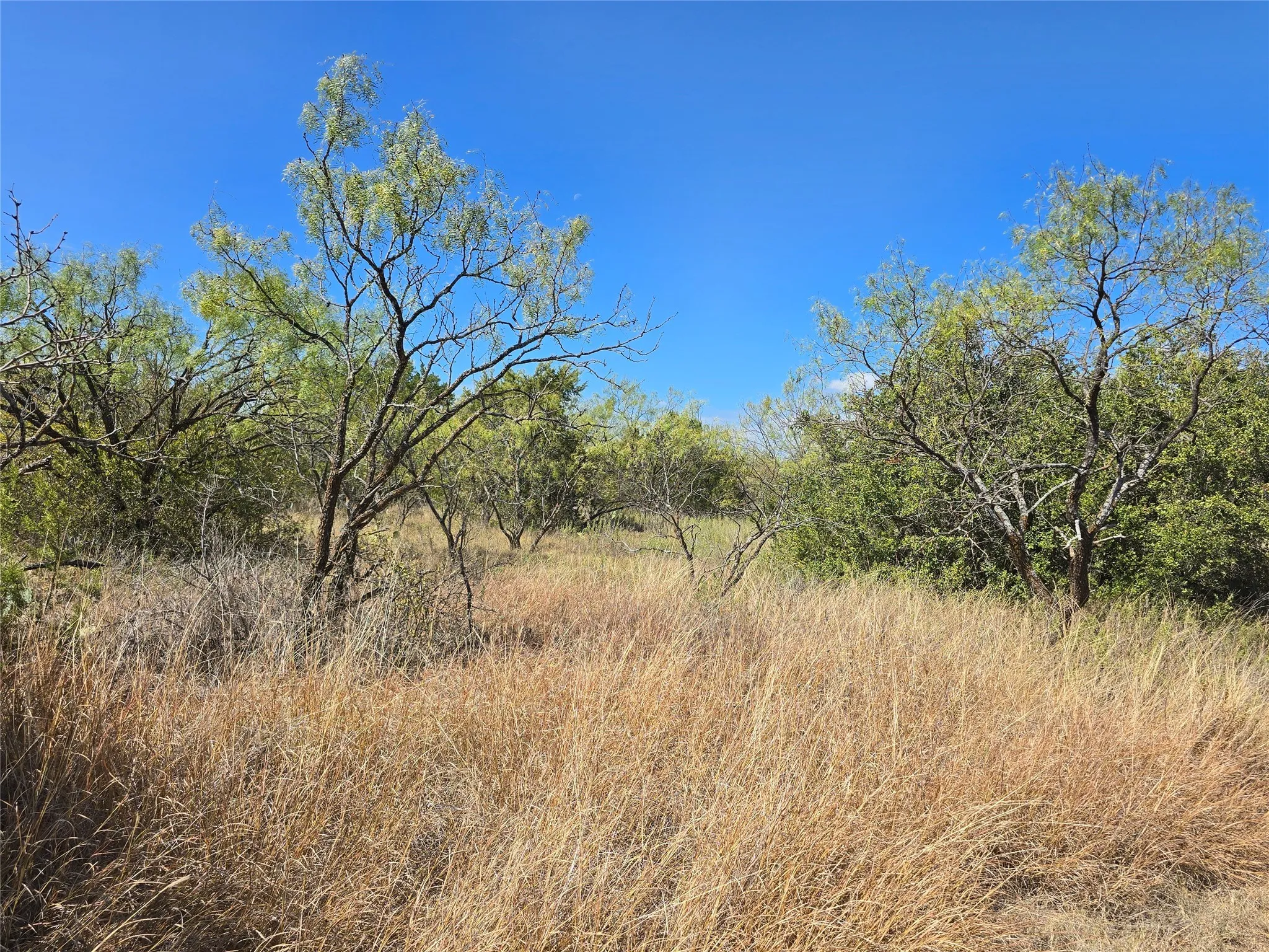 View of undeveloped land
