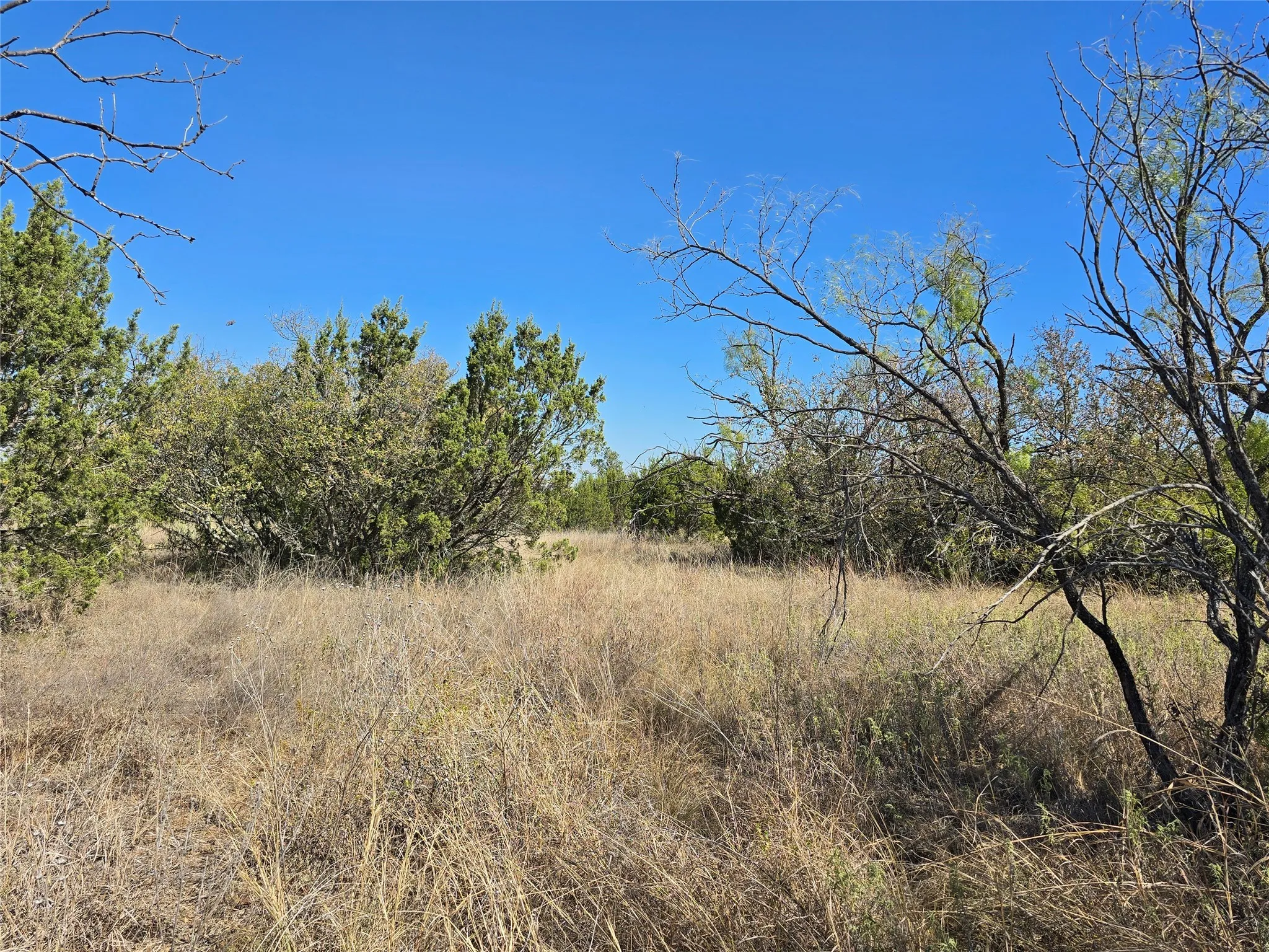 View of nature