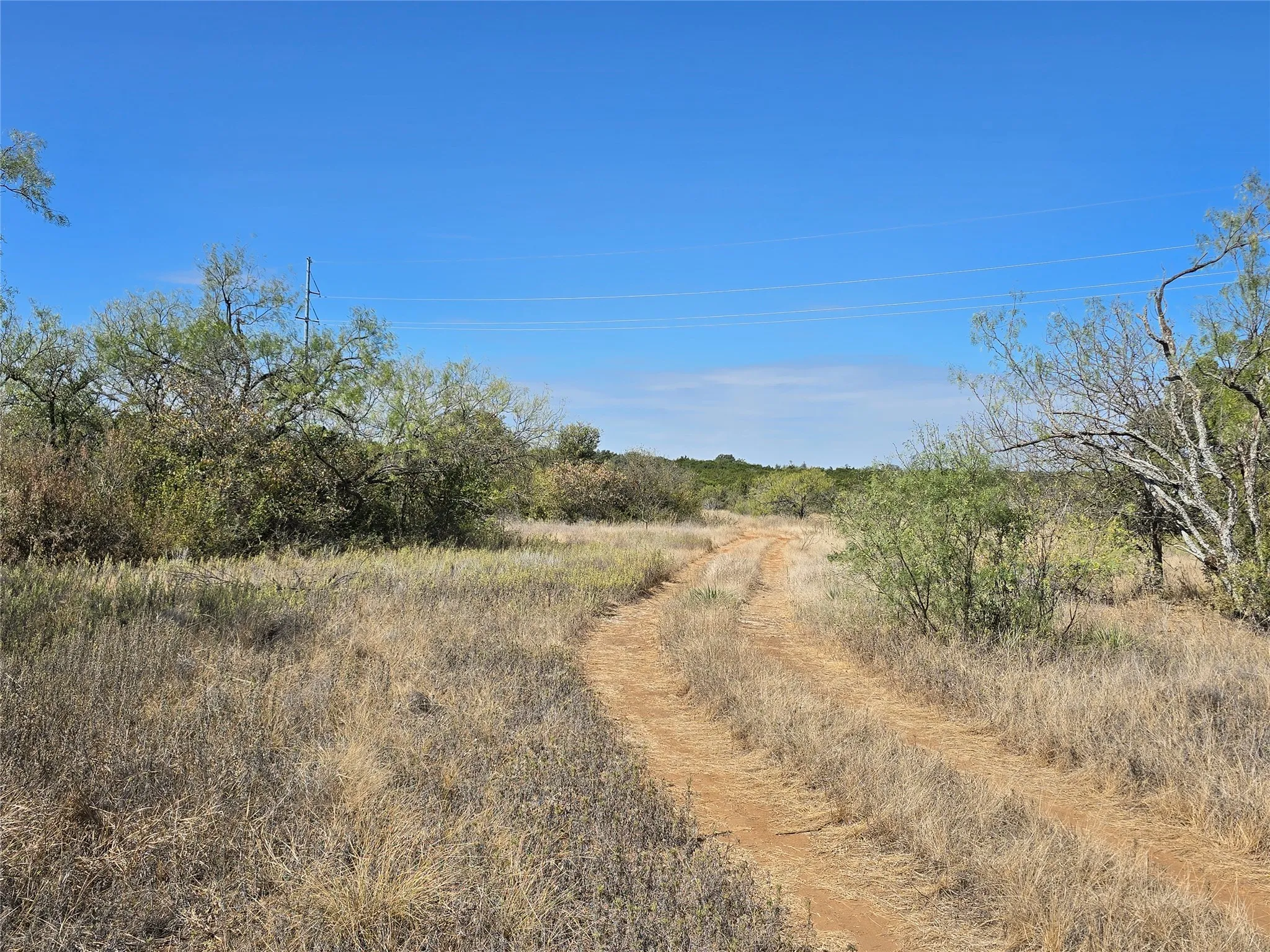 View of local wilderness with rural landscape