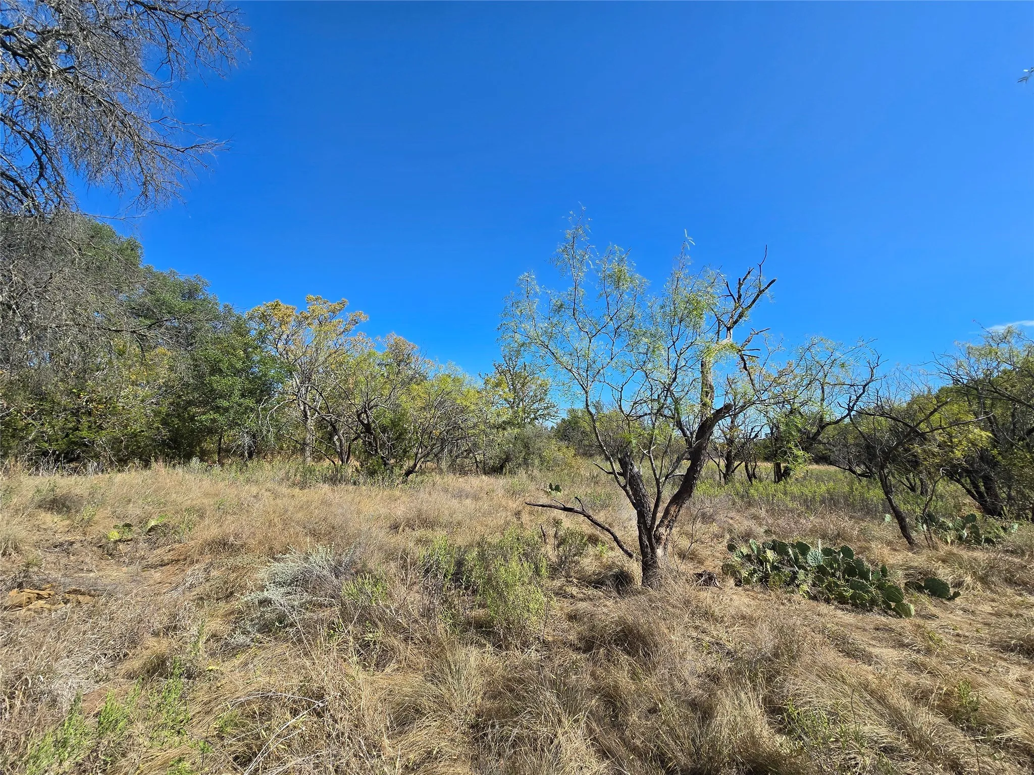 View of nature with rural landscape