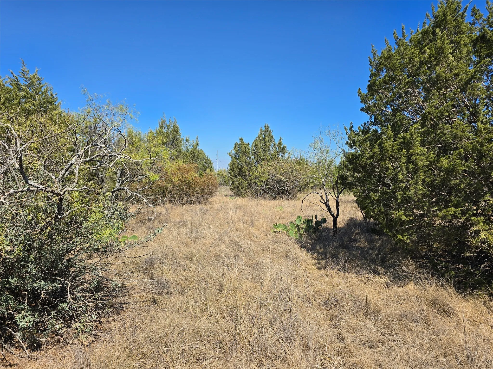 View of undeveloped land