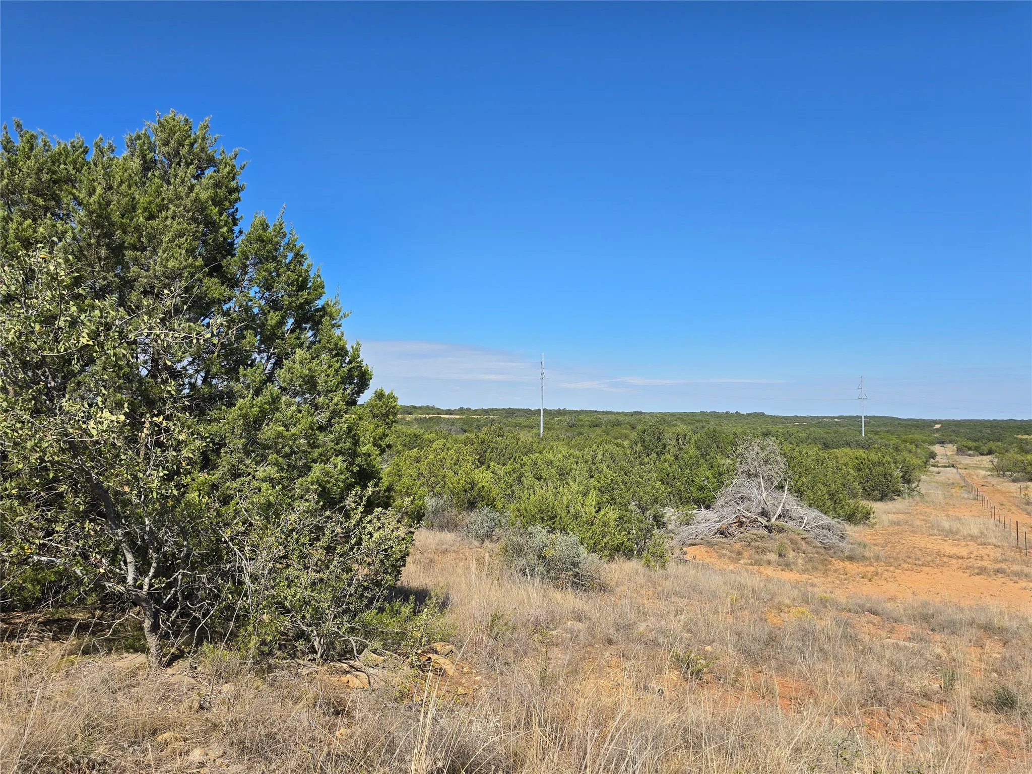 View of local wilderness