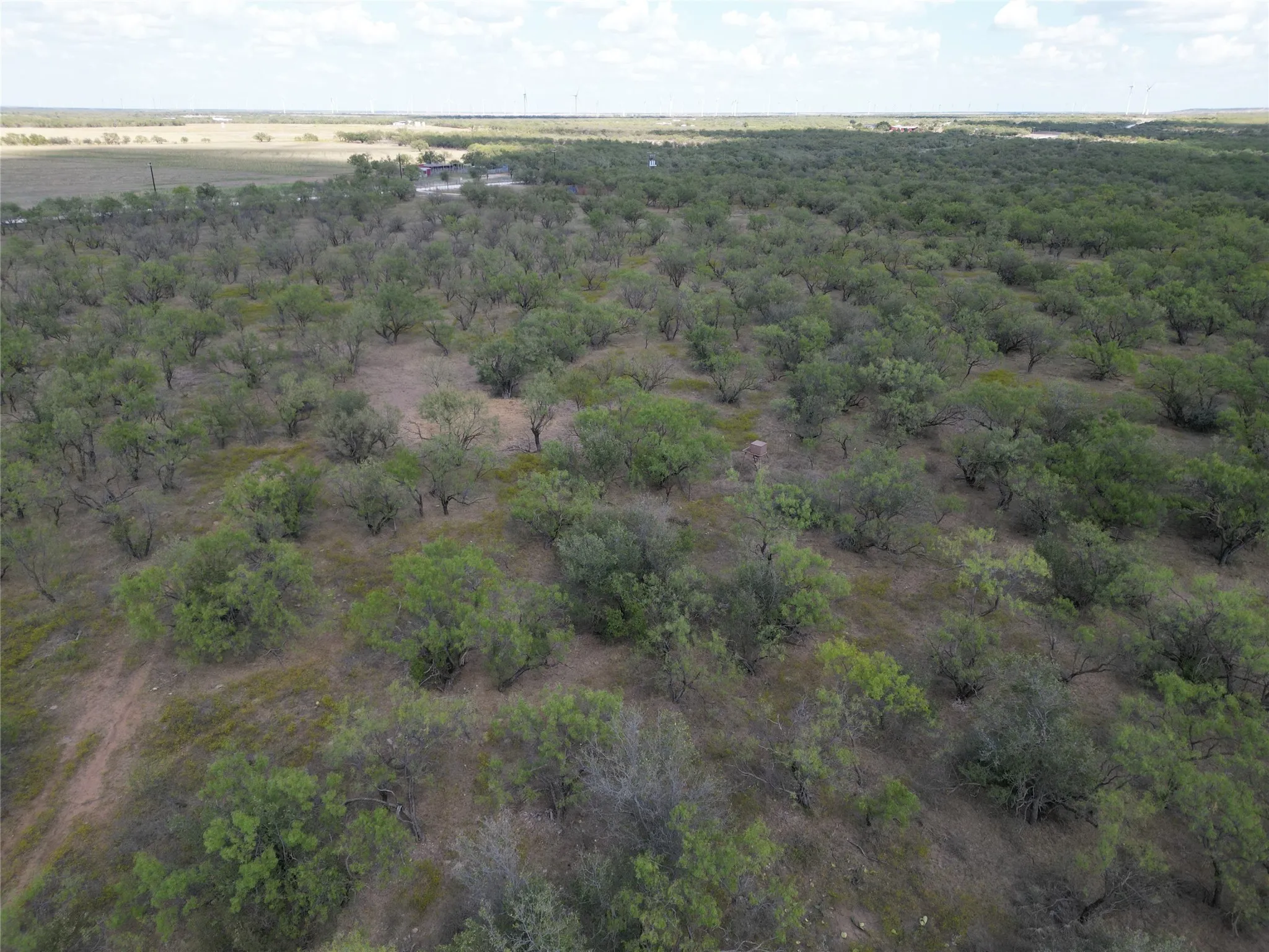 Ranch For Sale in Callahan County , TBD TBA Cnty Road 100, Abilene, Texas 79601, 0, 0, Garage spaces, 0 Sqft, built in 0, mls#21087418, Real Estate Agent in Abilene, Homes For Sale in Callahan county, Homes For Sale in Abilene, Realtor in Abilene Texas, Real Estate Brokerage Independent Realty Texas, Luminita Cordes Realtor