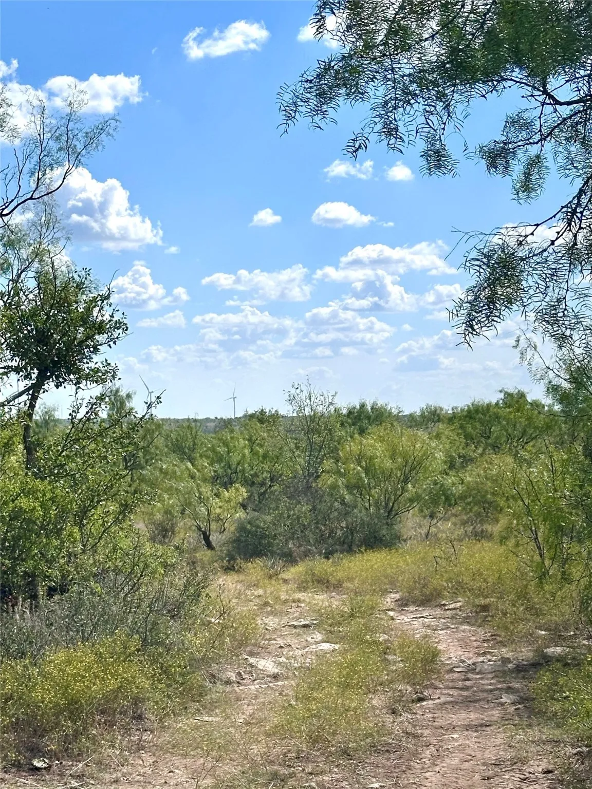 Ranch For Sale in Callahan County , TBD TBA Cnty Road 100, Abilene, Texas 79601, 0, 0, Garage spaces, 0 Sqft, built in 0, mls#21087418, Real Estate Agent in Abilene, Homes For Sale in Callahan county, Homes For Sale in Abilene, Realtor in Abilene Texas, Real Estate Brokerage Independent Realty Texas, Luminita Cordes Realtor