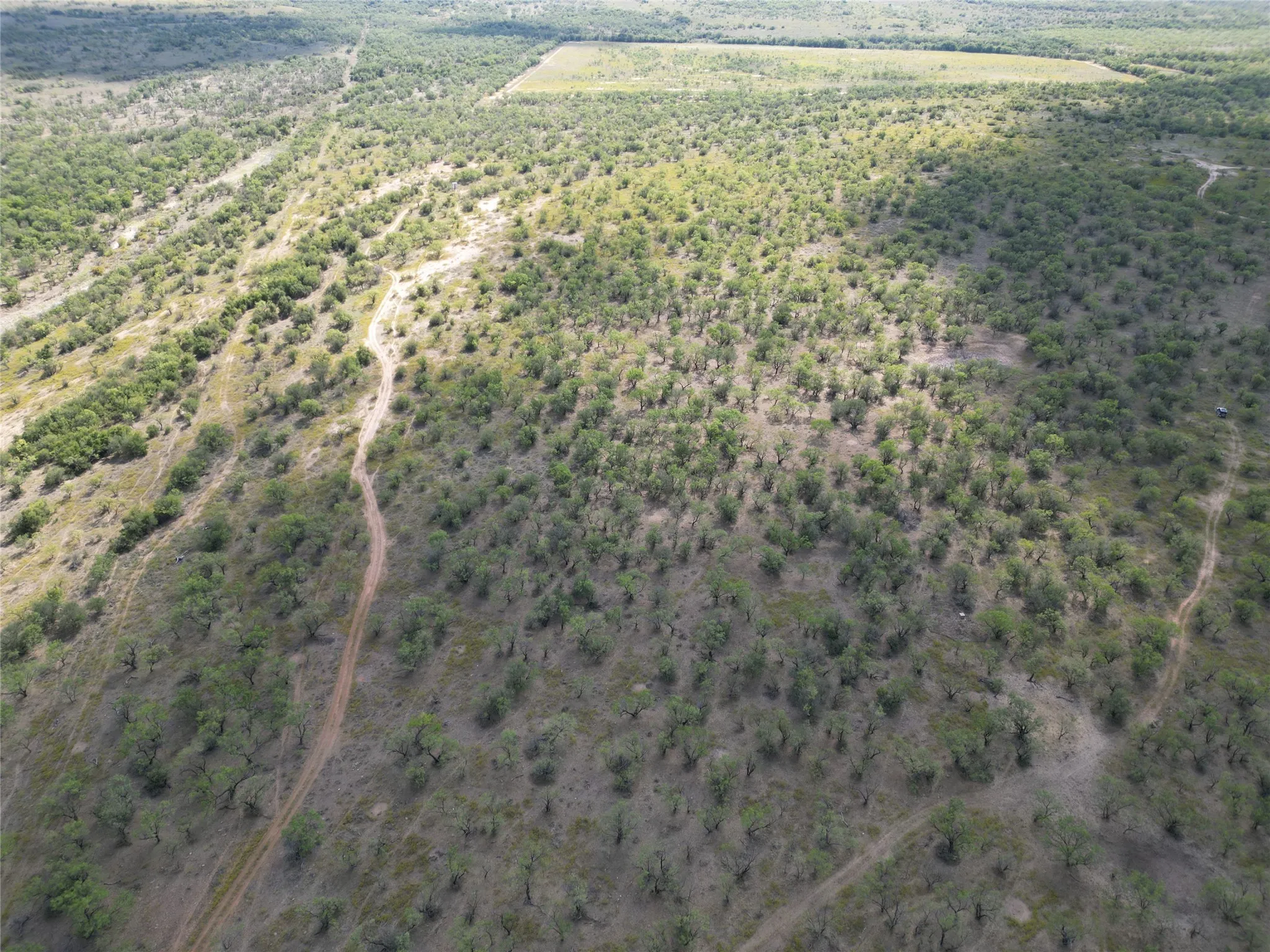 Ranch For Sale in Callahan County , TBD TBA Cnty Road 100, Abilene, Texas 79601, 0, 0, Garage spaces, 0 Sqft, built in 0, mls#21087418, Real Estate Agent in Abilene, Homes For Sale in Callahan county, Homes For Sale in Abilene, Realtor in Abilene Texas, Real Estate Brokerage Independent Realty Texas, Luminita Cordes Realtor