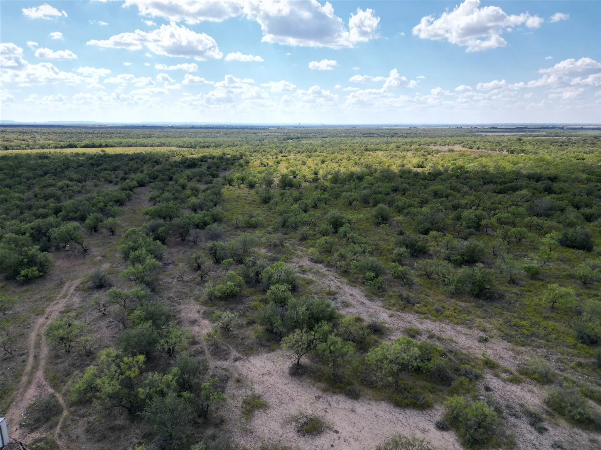 Ranch For Sale in Callahan County , TBD TBA Cnty Road 100, Abilene, Texas 79601, 0, 0, Garage spaces, 0 Sqft, built in 0, mls#21087418, Real Estate Agent in Abilene, Homes For Sale in Callahan county, Homes For Sale in Abilene, Realtor in Abilene Texas, Real Estate Brokerage Independent Realty Texas, Luminita Cordes Realtor