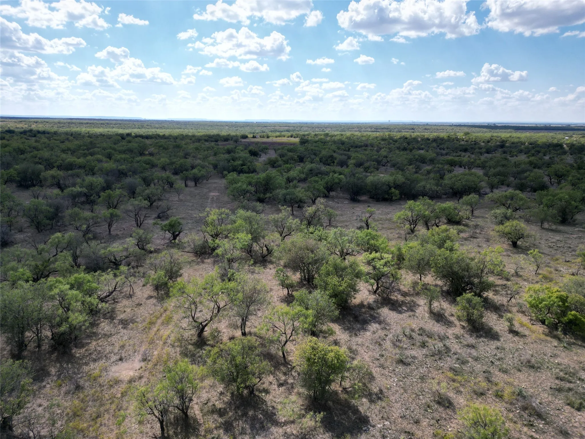 Ranch For Sale in Callahan County , TBD TBA Cnty Road 100, Abilene, Texas 79601, 0, 0, Garage spaces, 0 Sqft, built in 0, mls#21087418, Real Estate Agent in Abilene, Homes For Sale in Callahan county, Homes For Sale in Abilene, Realtor in Abilene Texas, Real Estate Brokerage Independent Realty Texas, Luminita Cordes Realtor