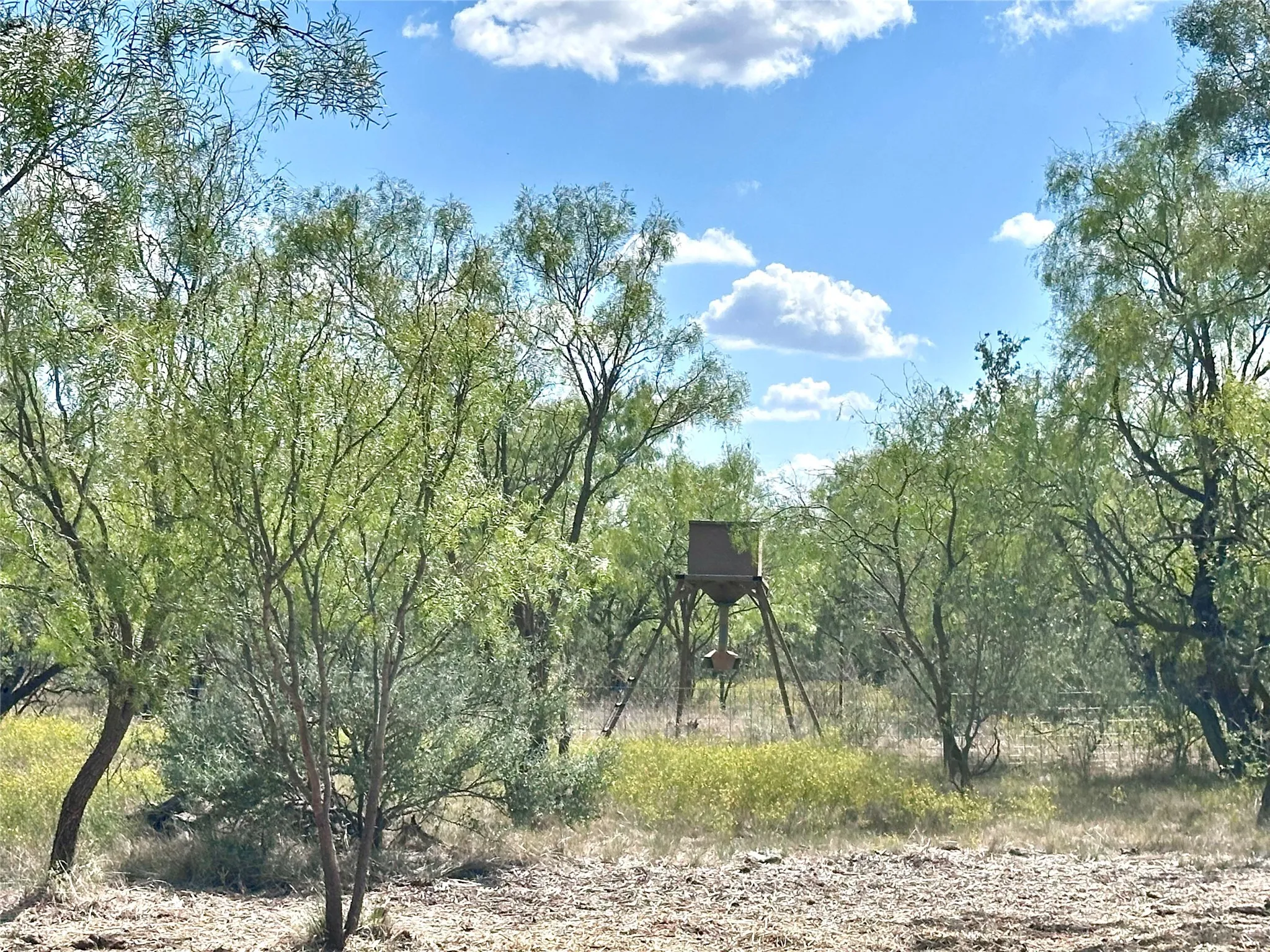 Ranch For Sale in Callahan County , TBD TBA Cnty Road 100, Abilene, Texas 79601, 0, 0, Garage spaces, 0 Sqft, built in 0, mls#21087418, Real Estate Agent in Abilene, Homes For Sale in Callahan county, Homes For Sale in Abilene, Realtor in Abilene Texas, Real Estate Brokerage Independent Realty Texas, Luminita Cordes Realtor